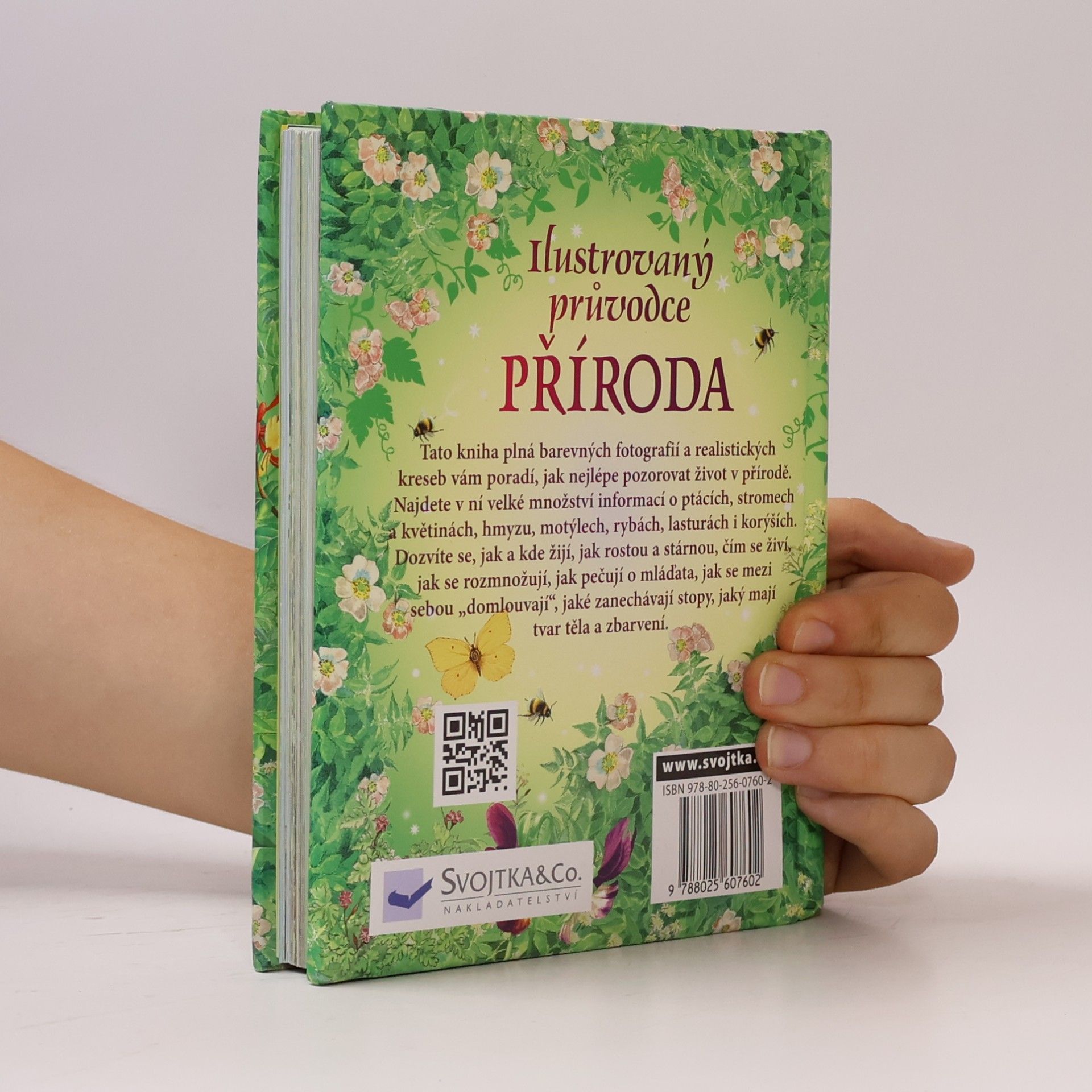 Phillip Clarke Příroda : ilustrovaný průvodce
