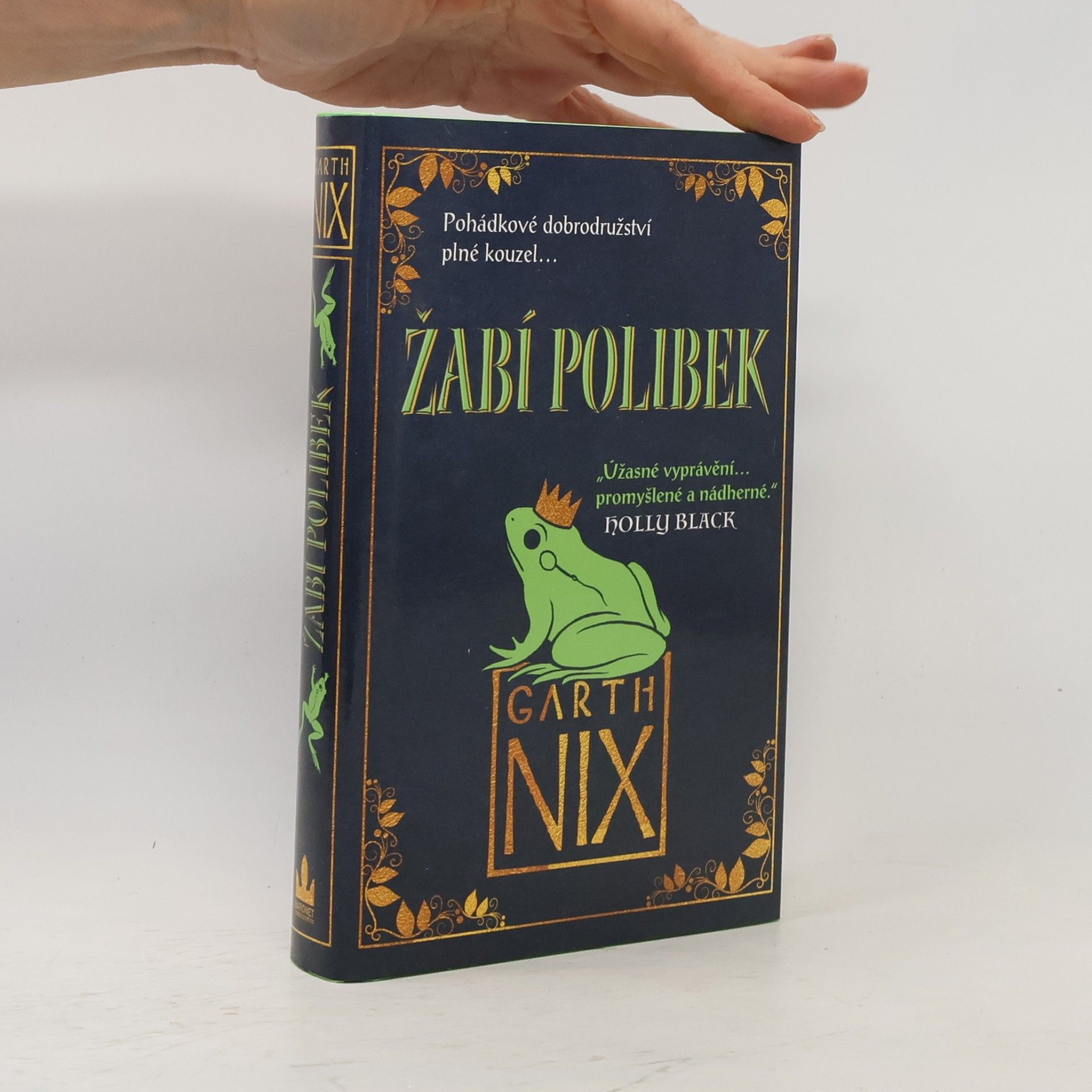 Garth Nix Žabí polibek