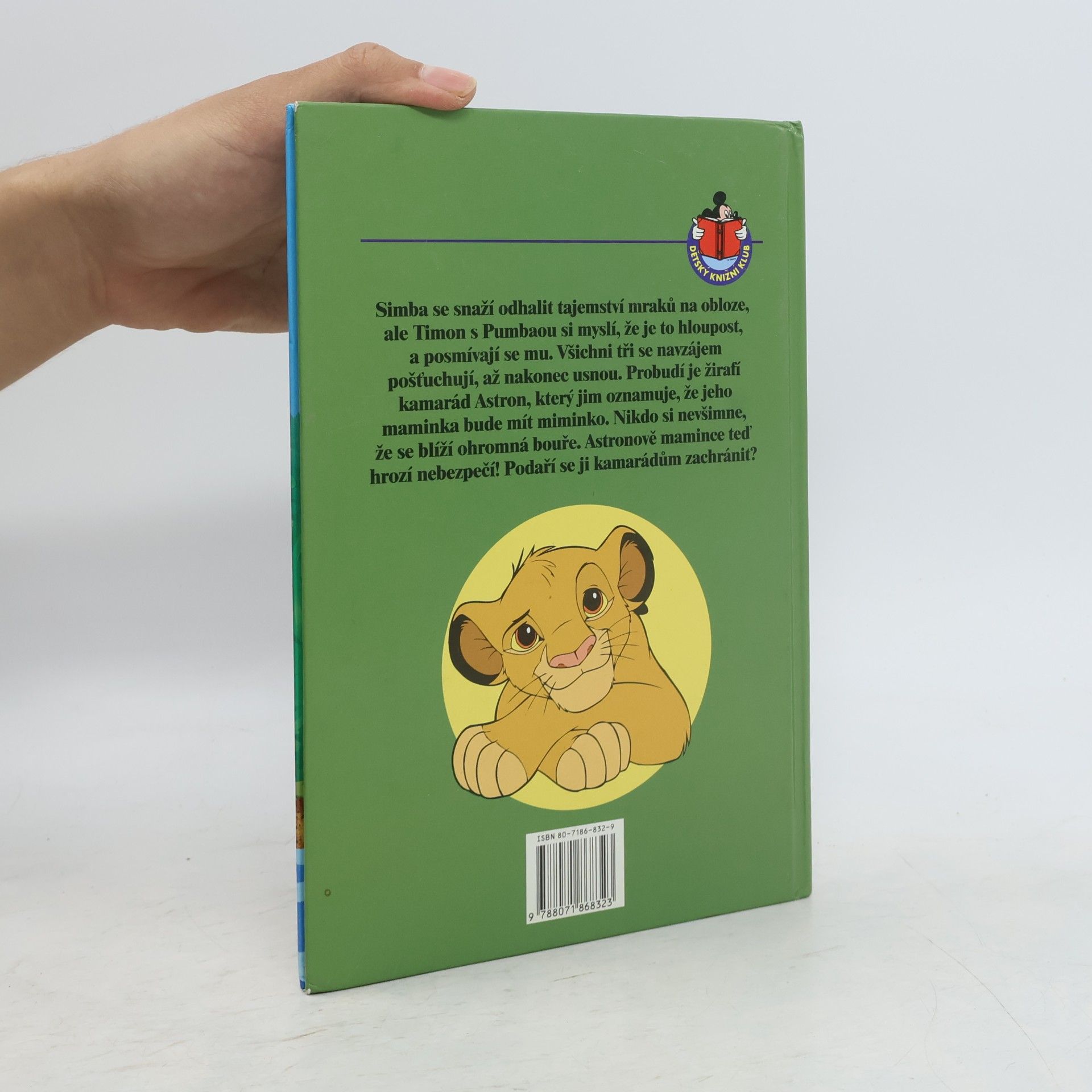 Walt Disney Simba a velká voda