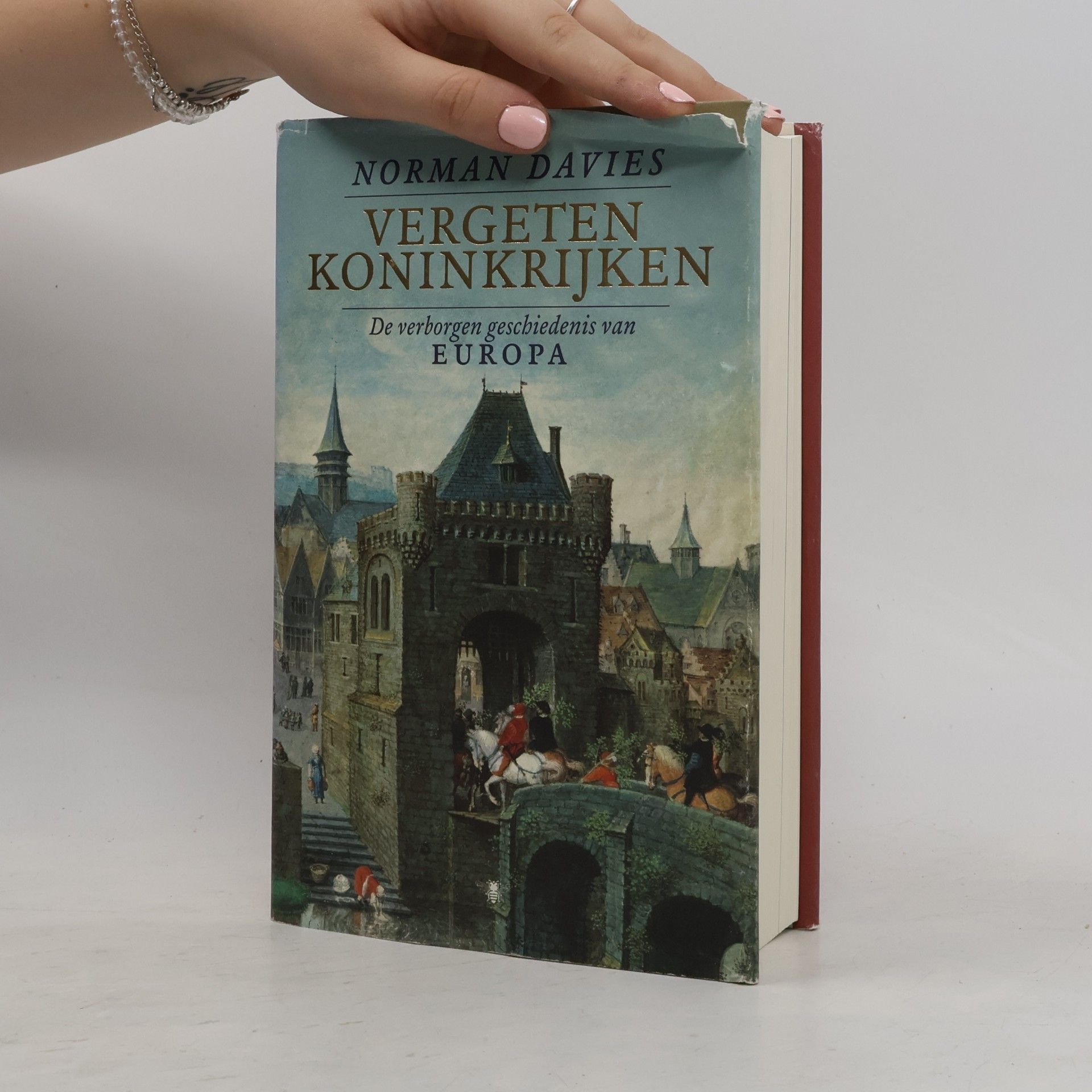 Norman Davies Vergeten Koninkrijken