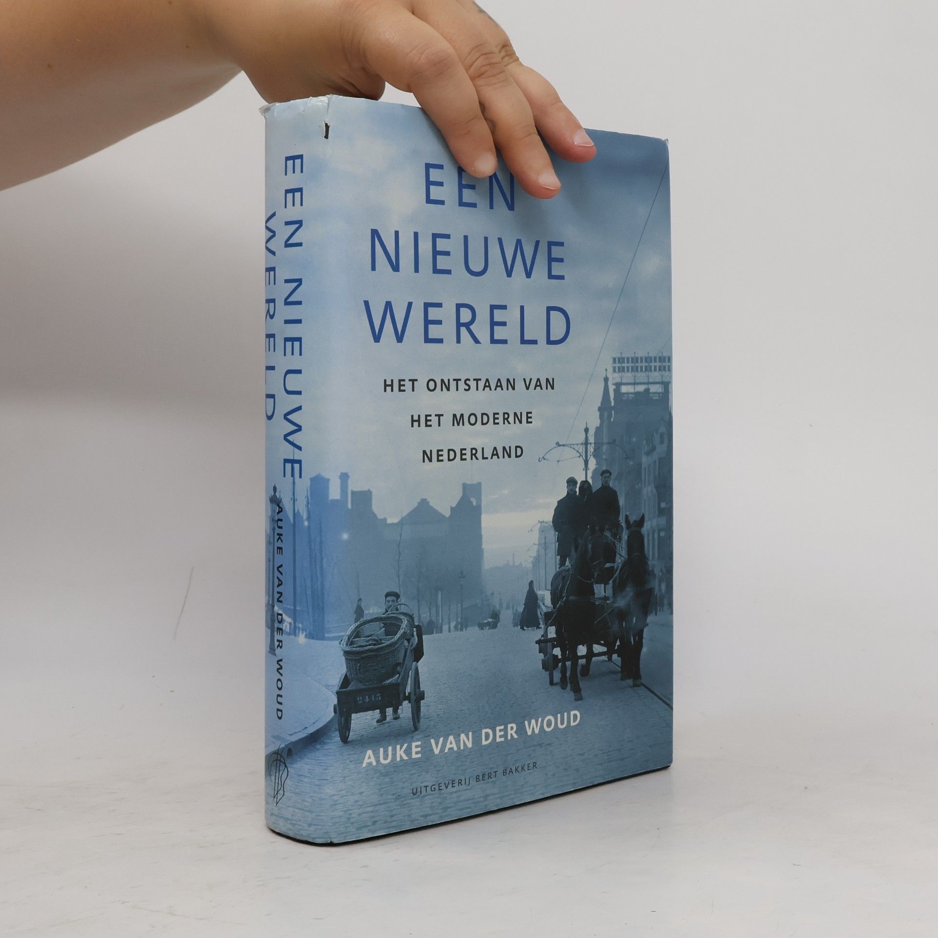 Een nieuwe wereld. Het ontstaan van het moderne Nederland