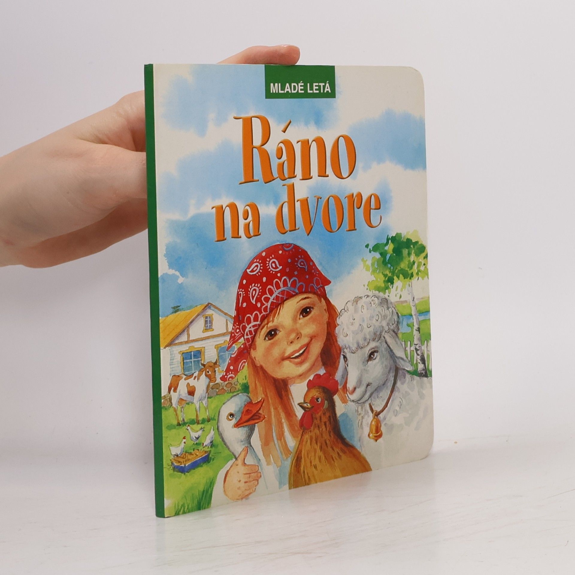 Ráno na dvore