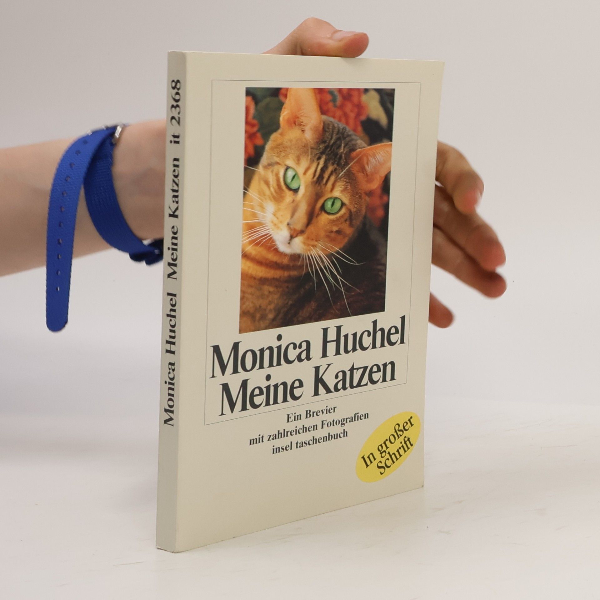 Monica Huchel Meine Katzen