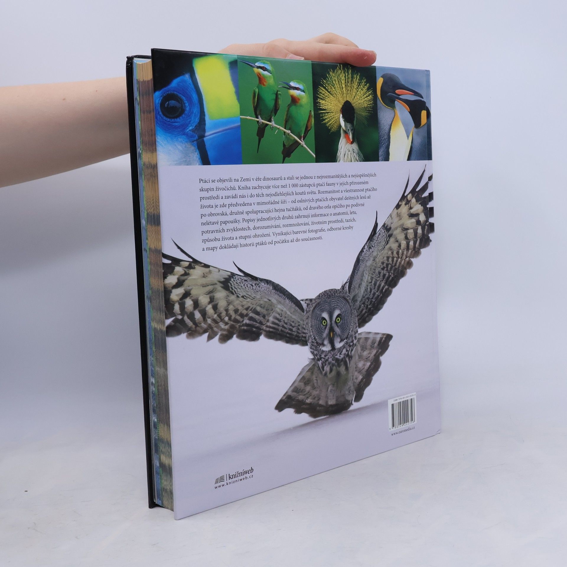 Various authors Ptáci - obrazová encyklopedie ptáků celého světa