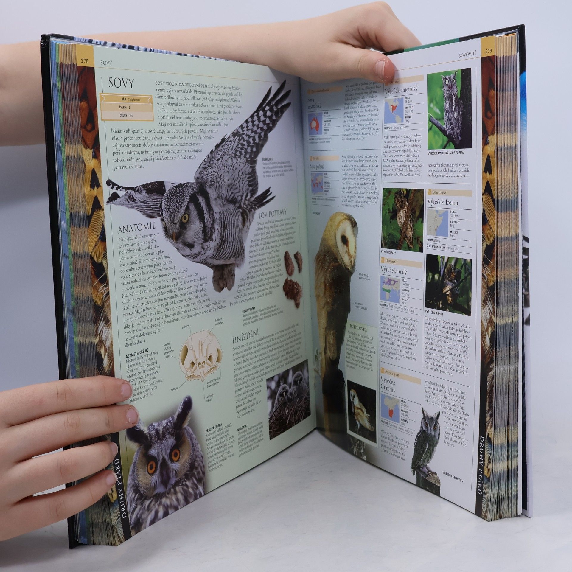 Various authors Ptáci - obrazová encyklopedie ptáků celého světa