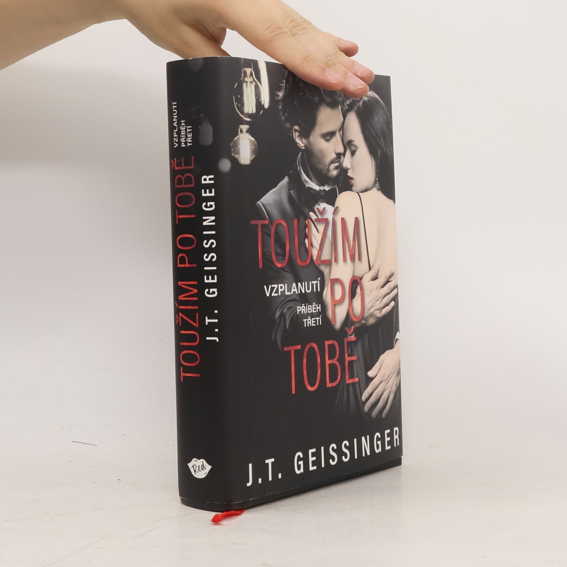 J. T. Geissinger Toužím po tobě