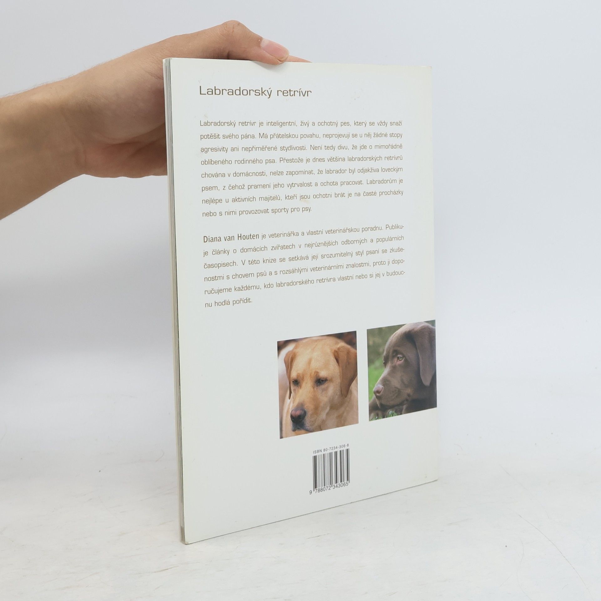 Diana van Houten Labradorský retrívr