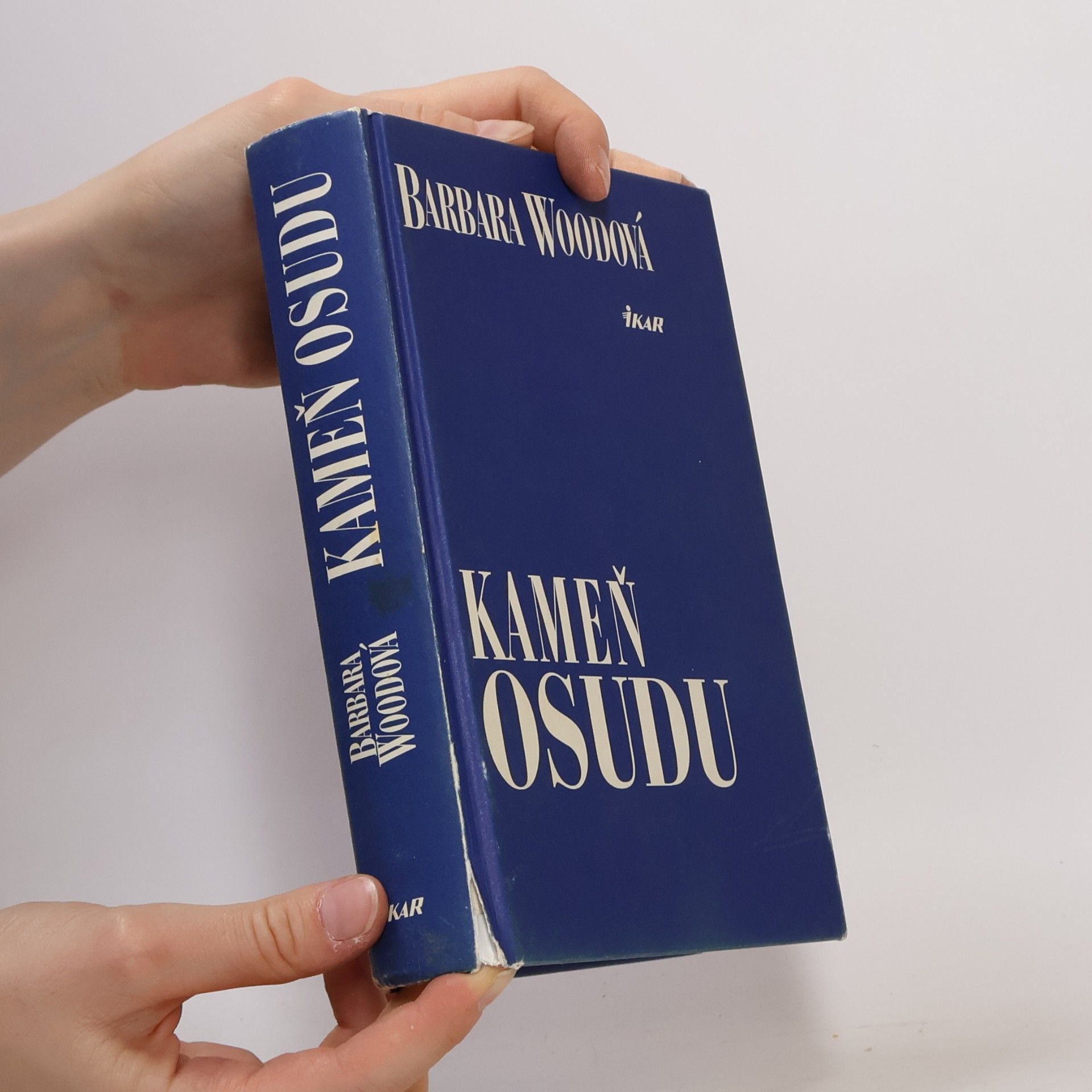 Barbara Wood Kameň osudu