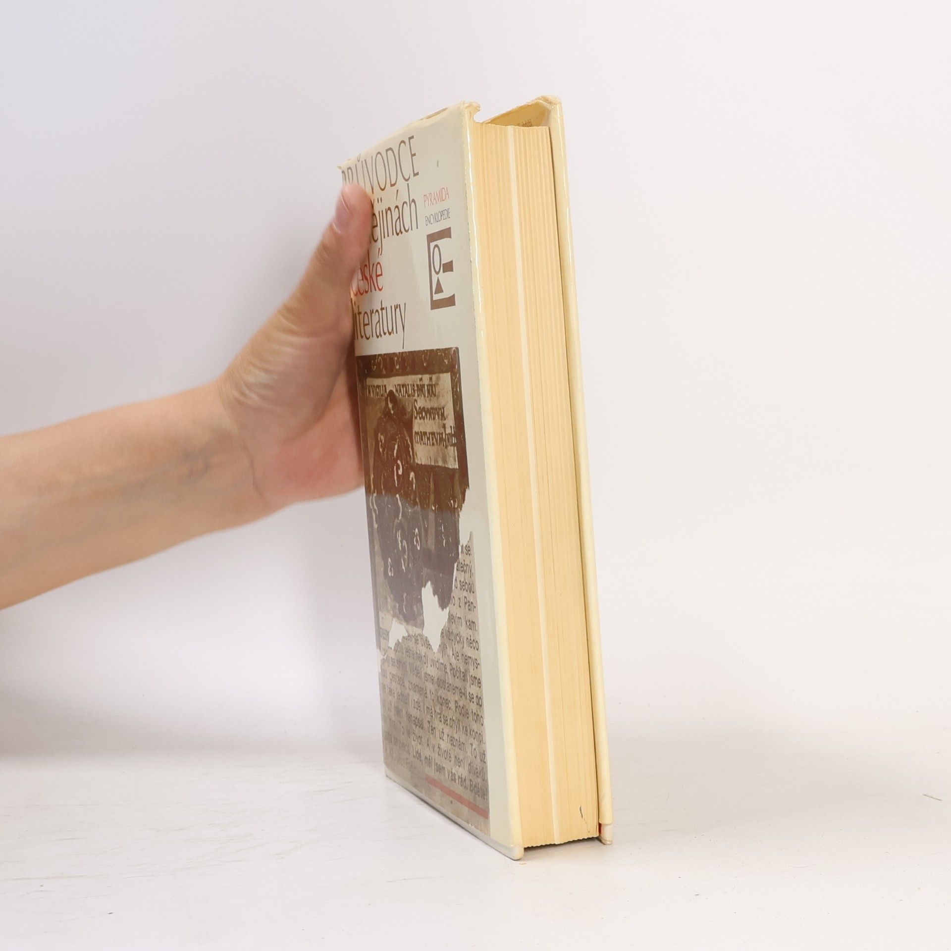 Zdeňka Tichá Průvodce po dějinách české literatury
