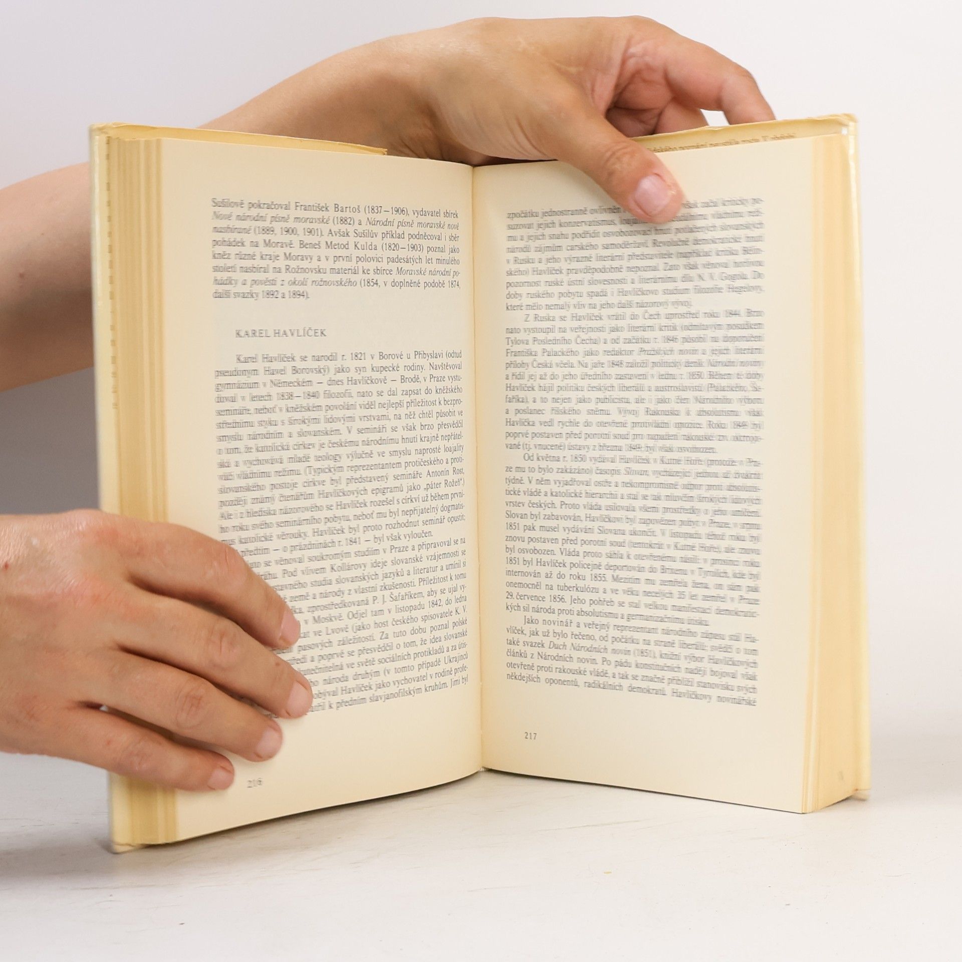Zdeňka Tichá Průvodce po dějinách české literatury
