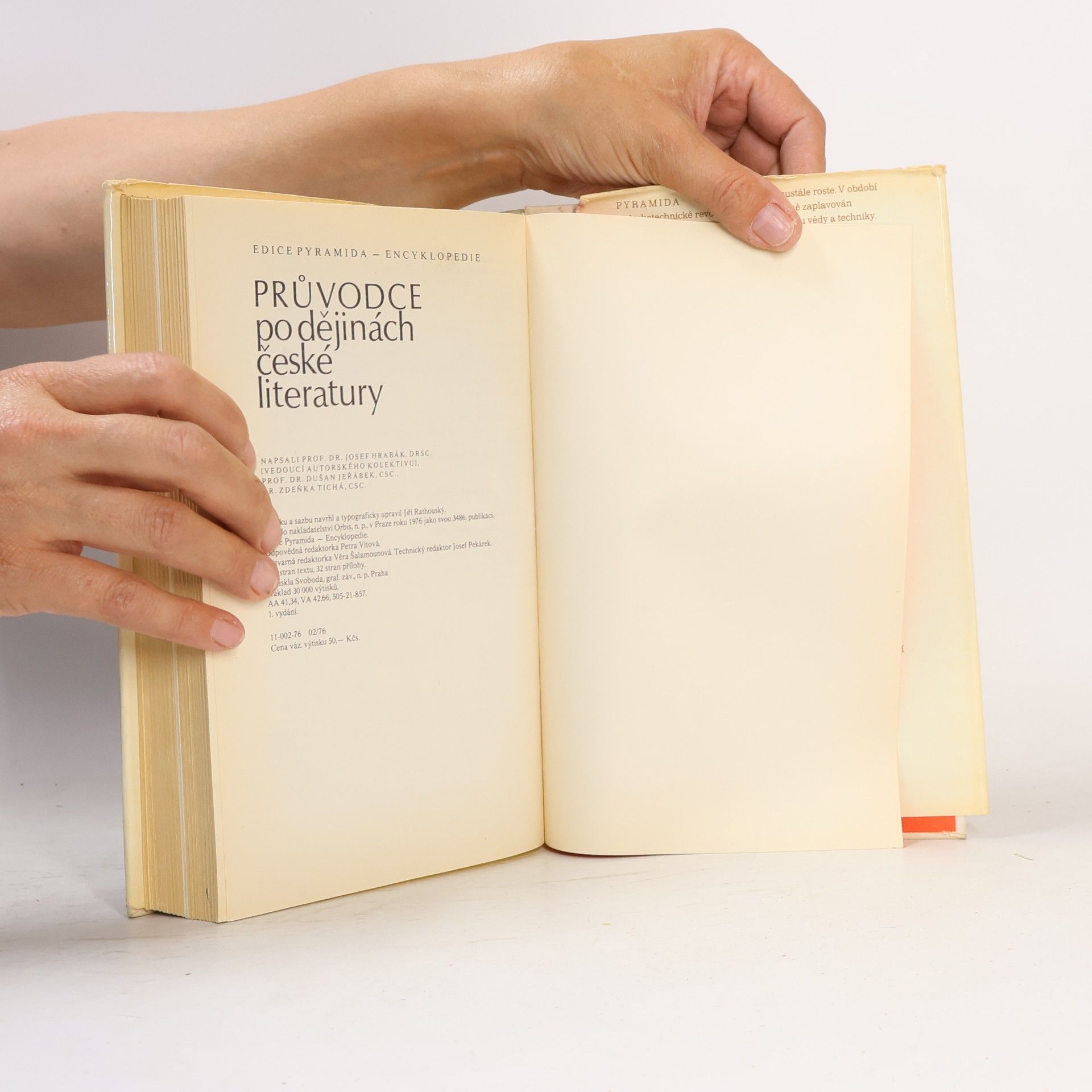 Zdeňka Tichá Průvodce po dějinách české literatury