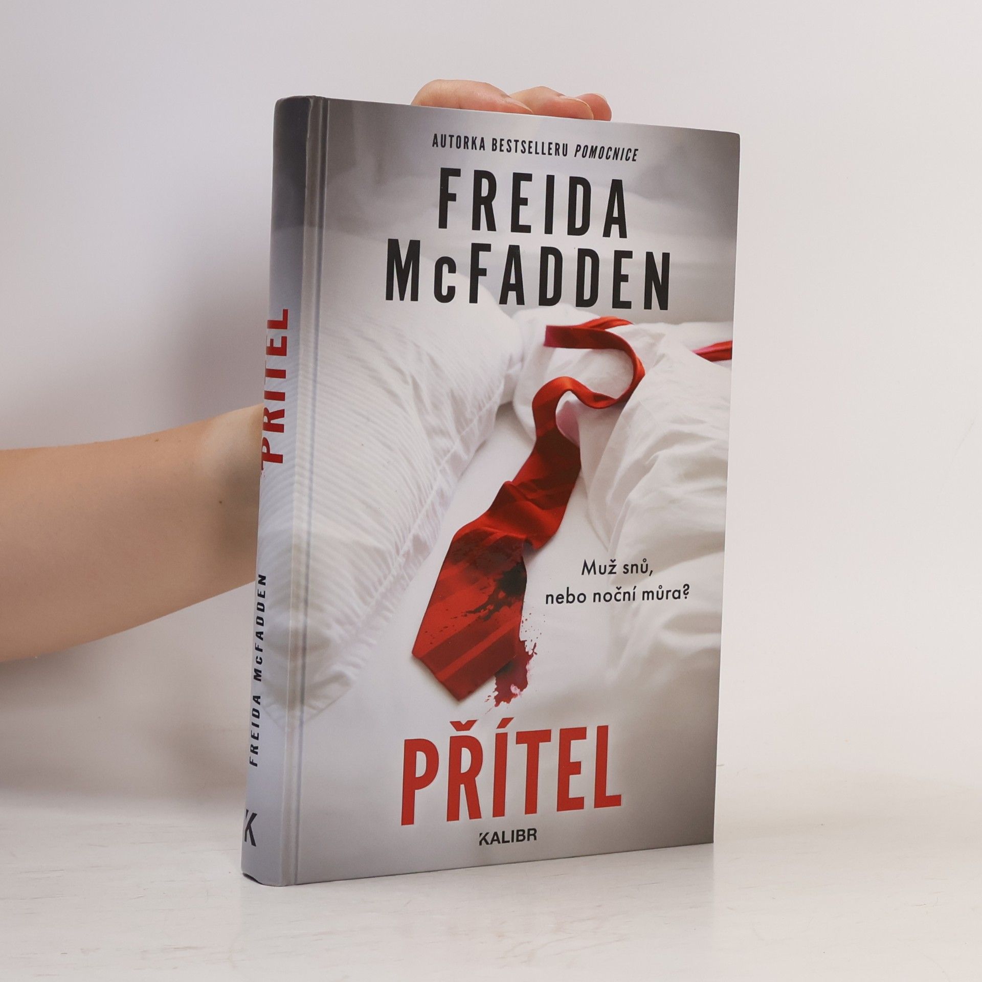 Freida McFadden Přítel