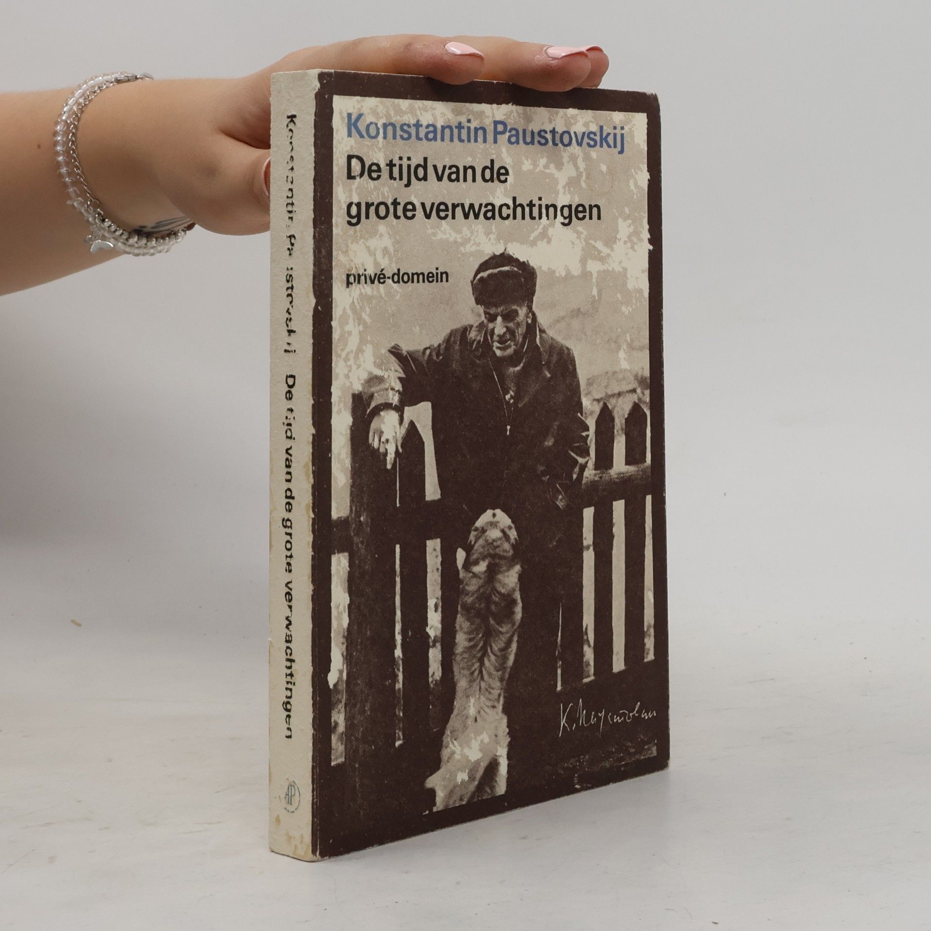 K. Meyersohn Privé-domein - 61: De tijd van de grote verwachtingen