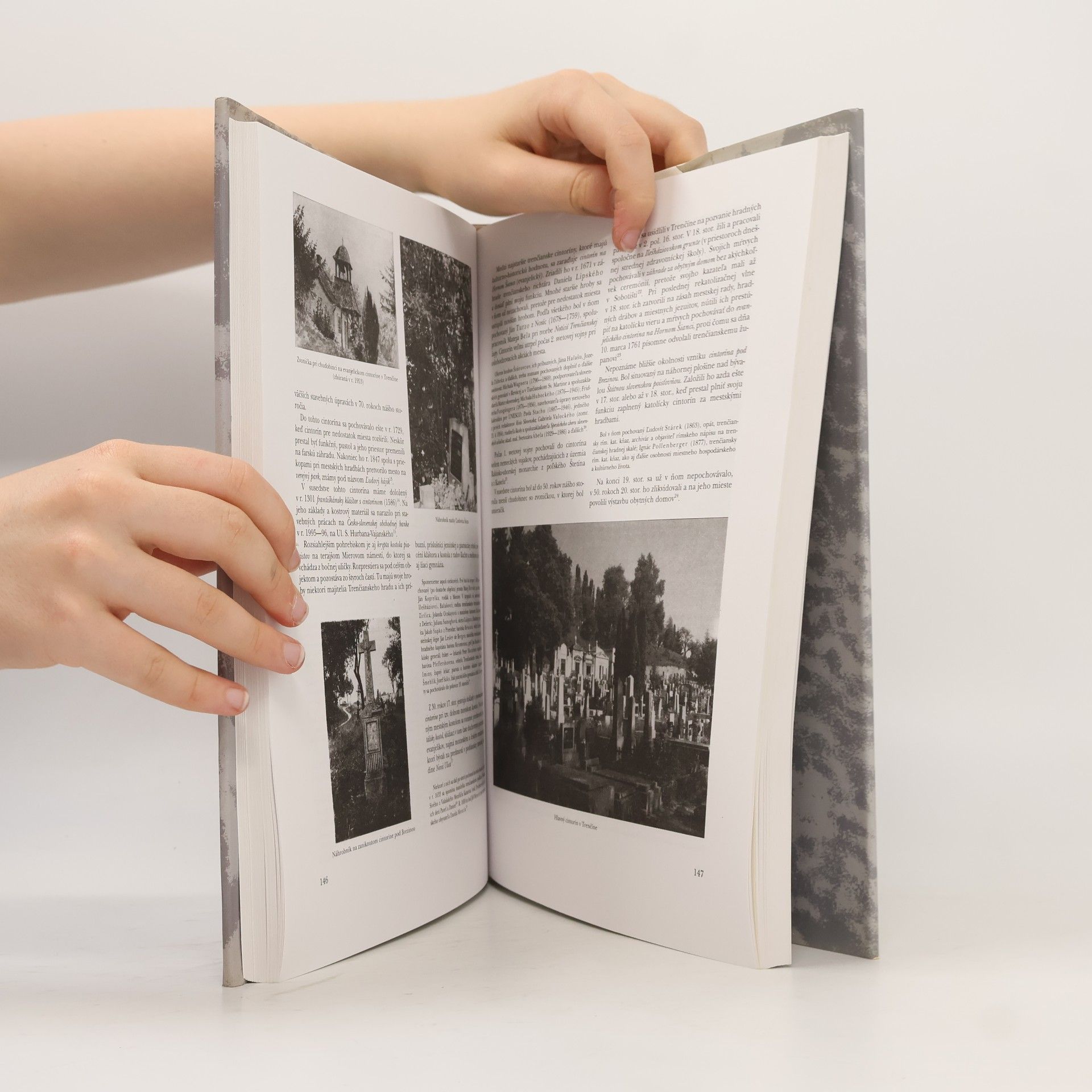 Milan Šišmiš Trenčín : vlastivedná monografia. 2