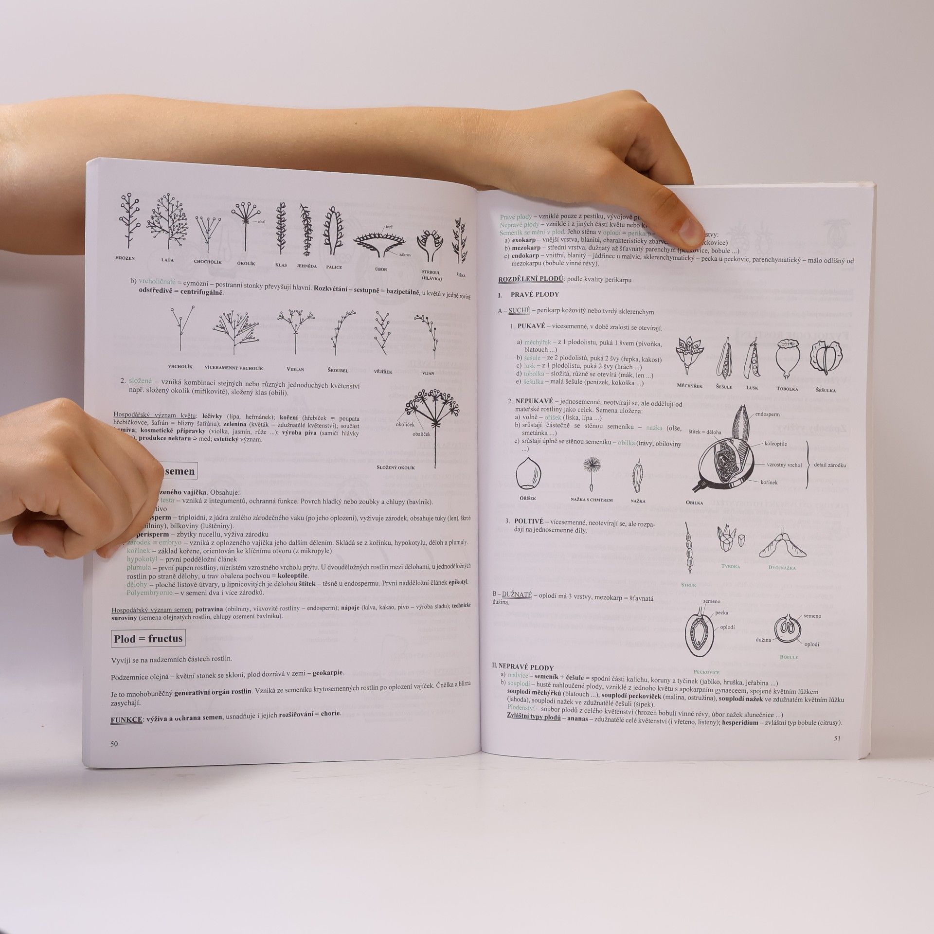 Hana Hančová Biologie v kostce. 1. díl