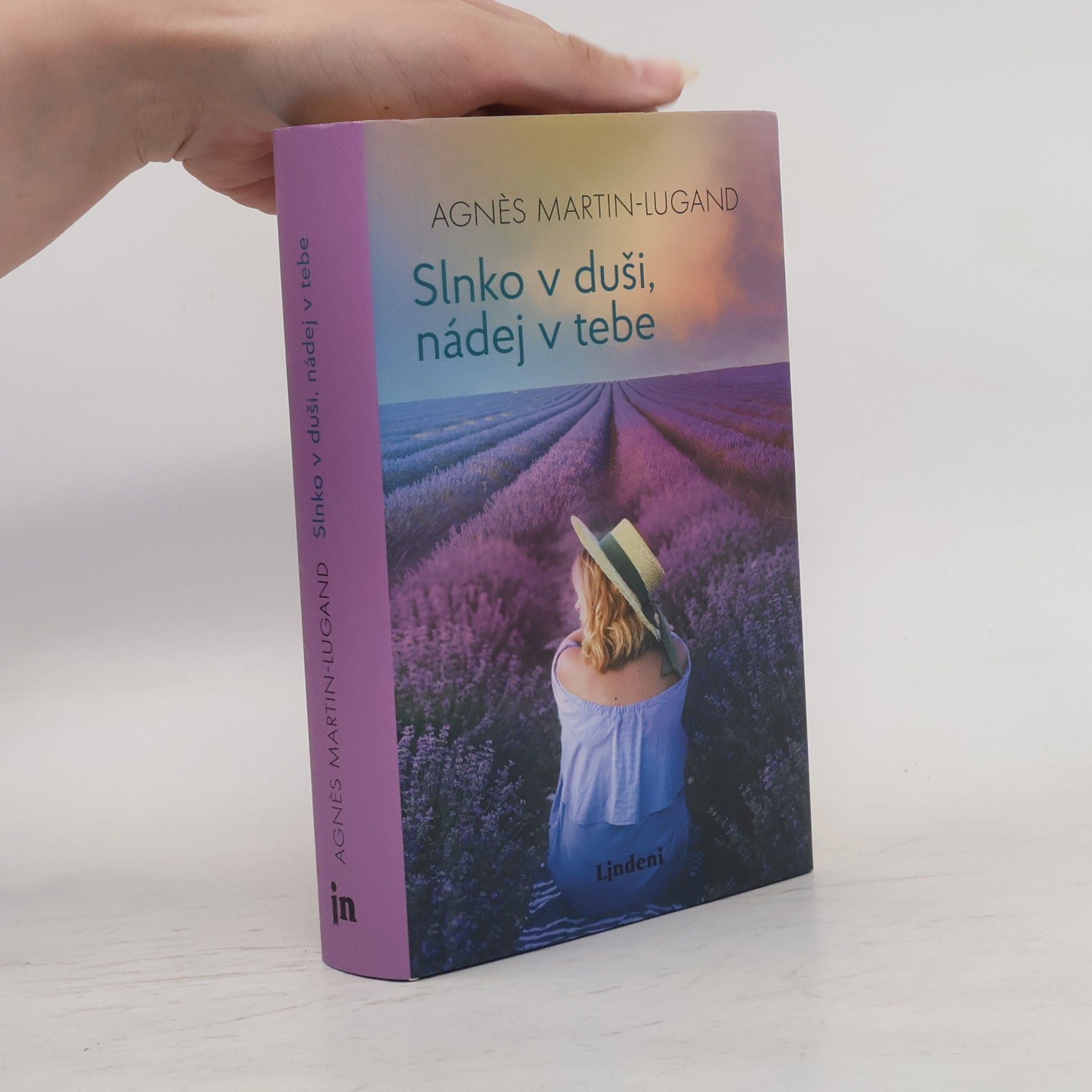 Agnès Martin-Lugand Slnko v duši