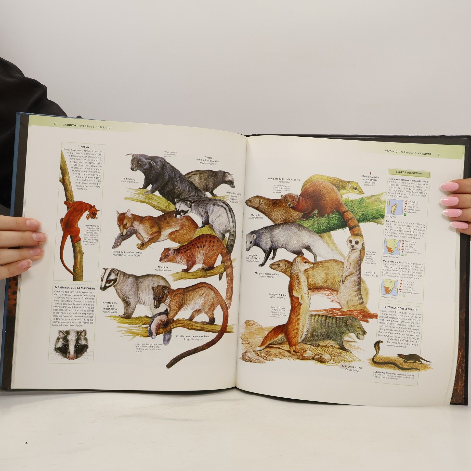 Jenni Bruce Enciclopedia degli animali 2