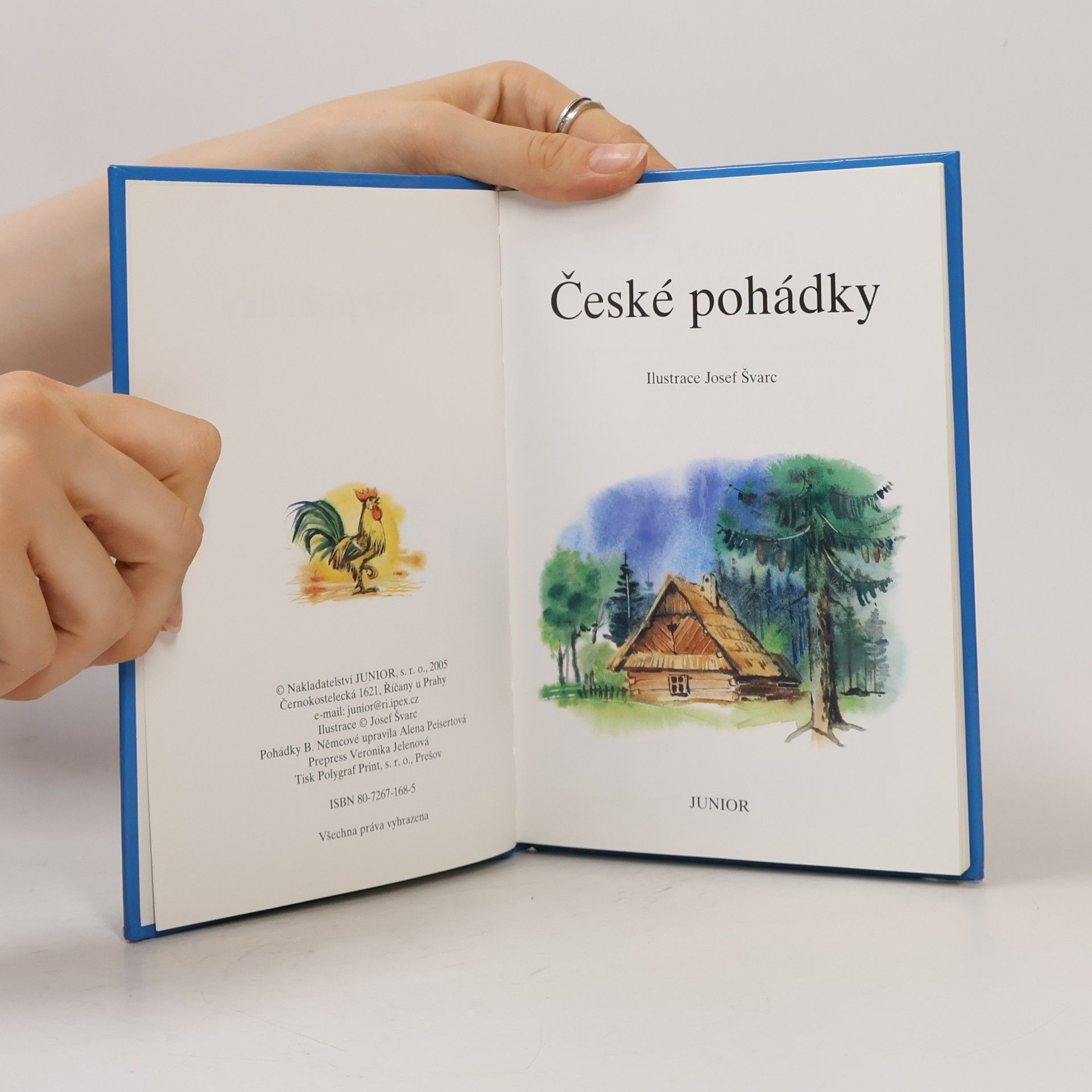 Božena Němcová České pohádky