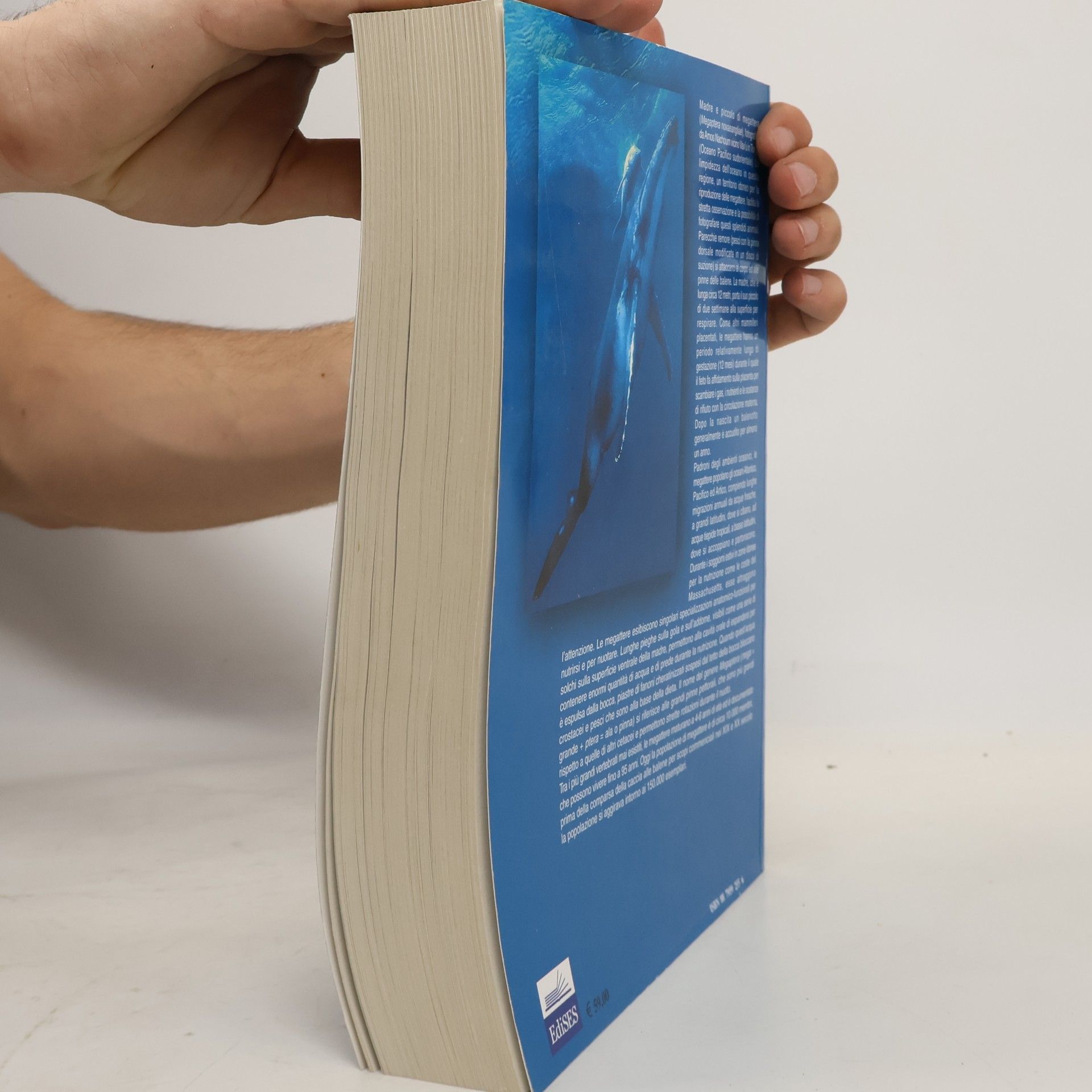 M. V. Civitelli Anatomia comparata dei vertebrati una visione funzionale ed evolutiva