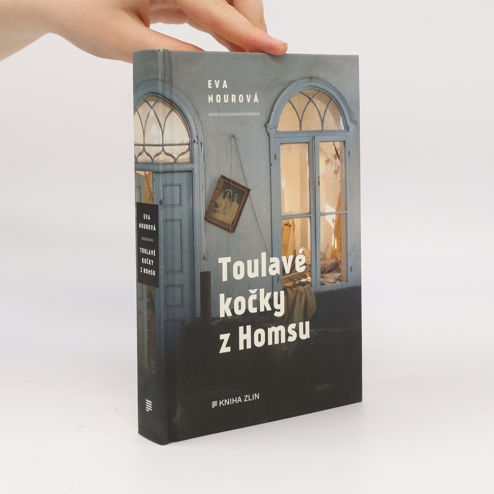 Eva Nour Toulavé kočky z Homsu