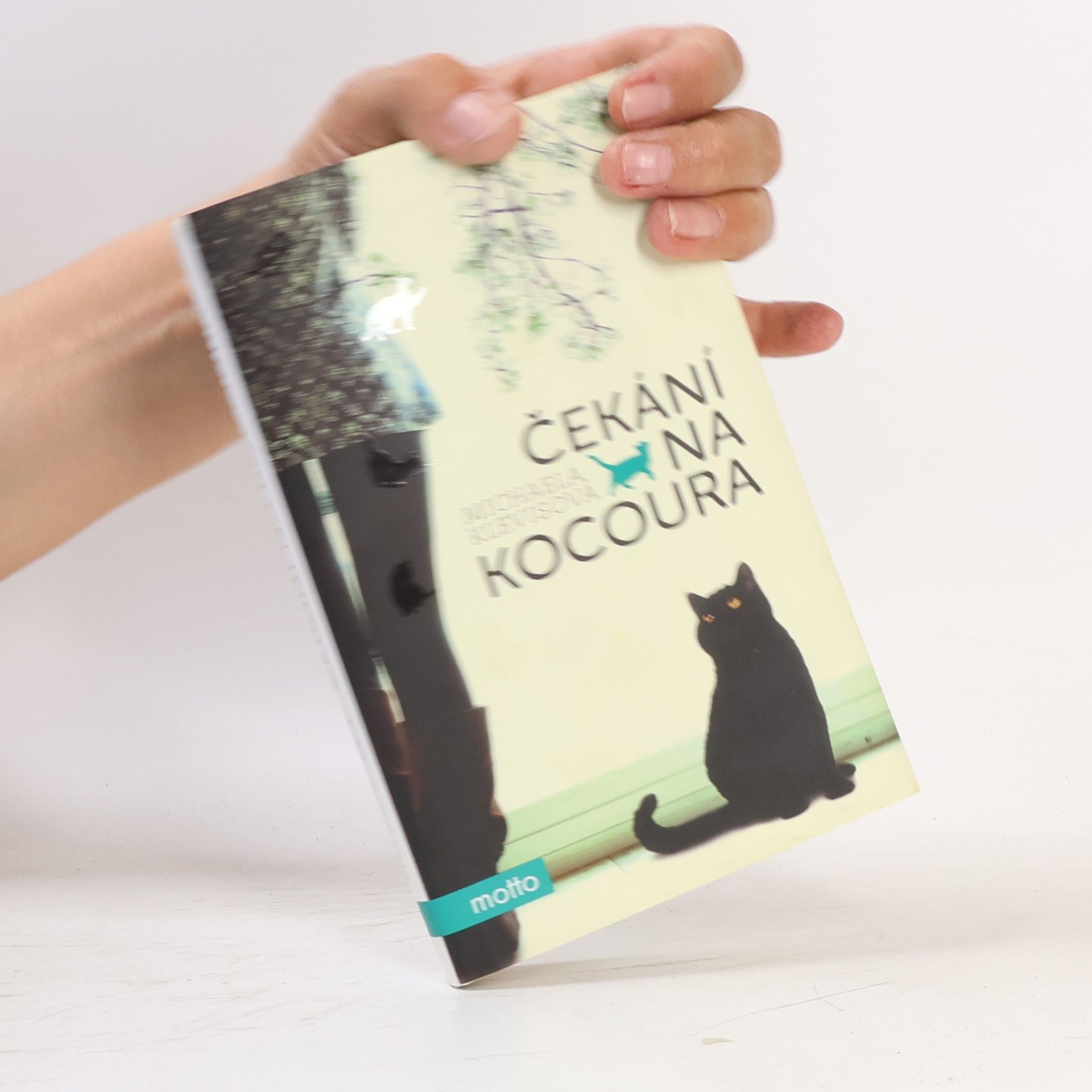 Čekání na kocoura: Příběhy o kočkách a jejich lidech