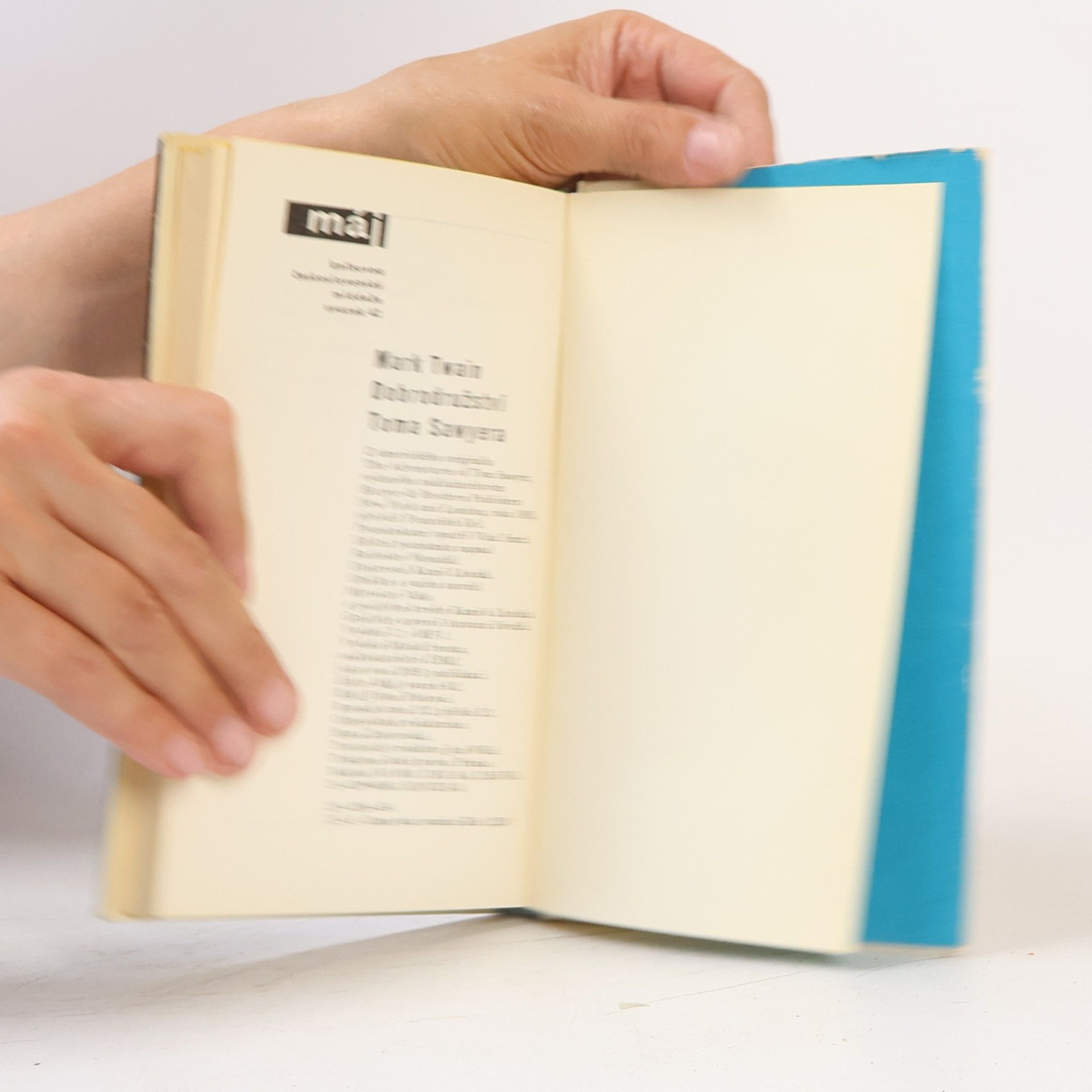 Mark Twain Dobrodružství Toma Sawyera
