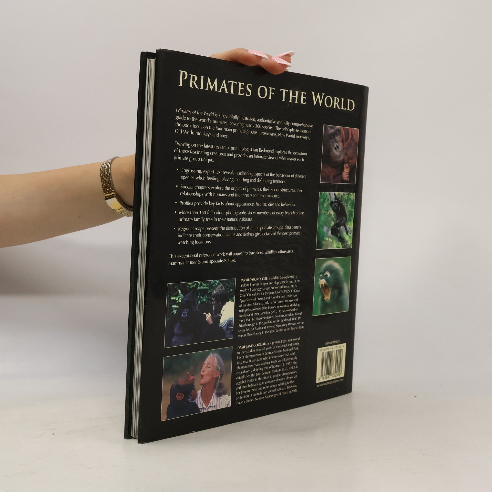 Ian Redmond Primates of the World