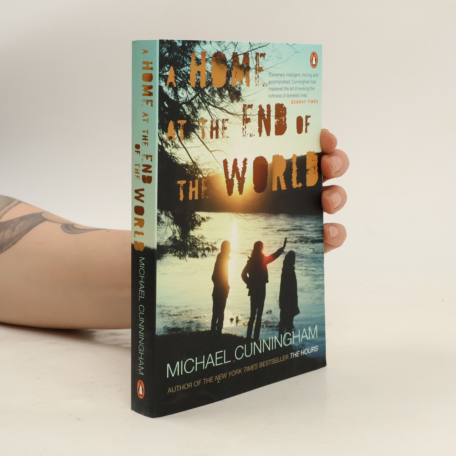 Michael Cunningham A Home at the End of the World