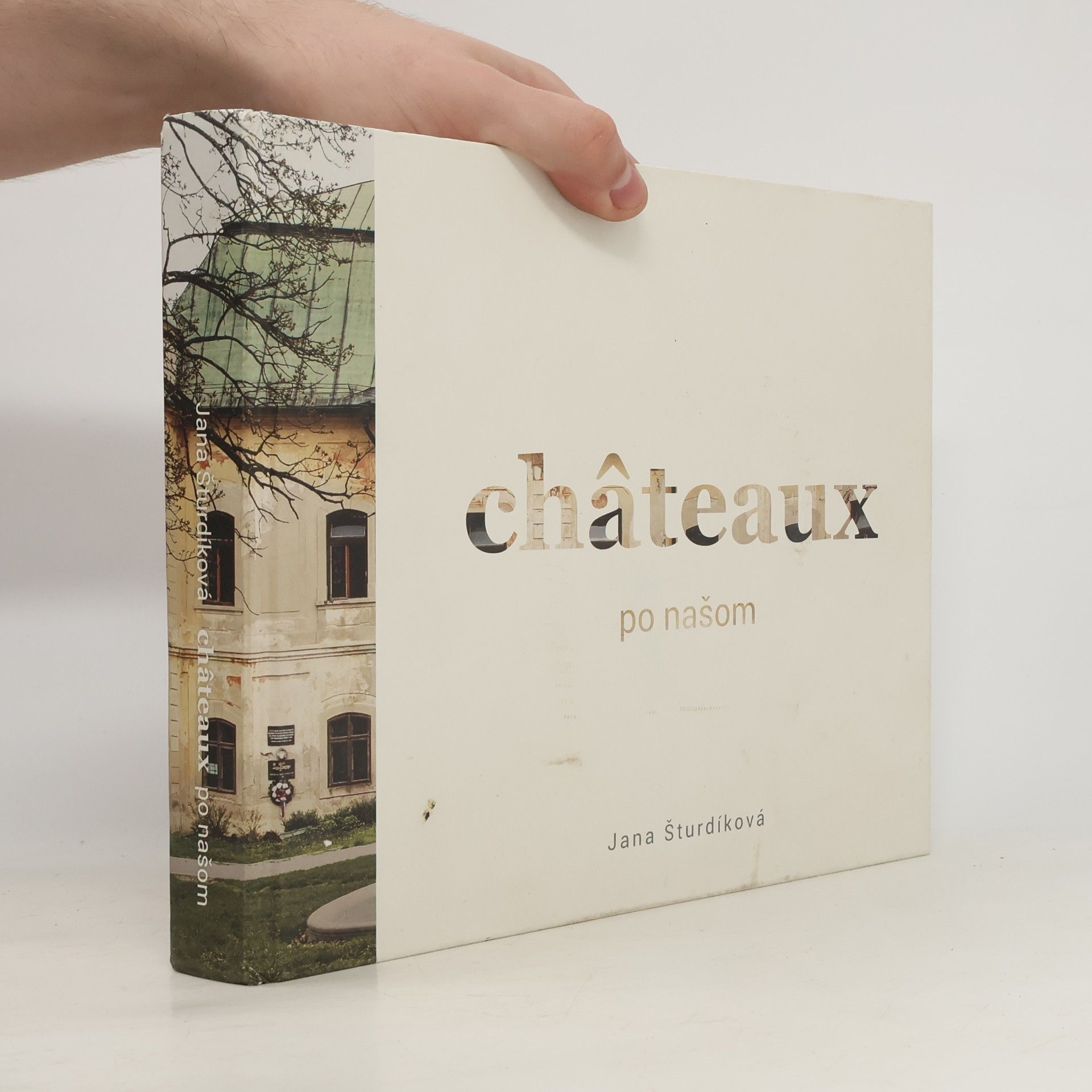 Jana Šturdíková Châteaux po našom