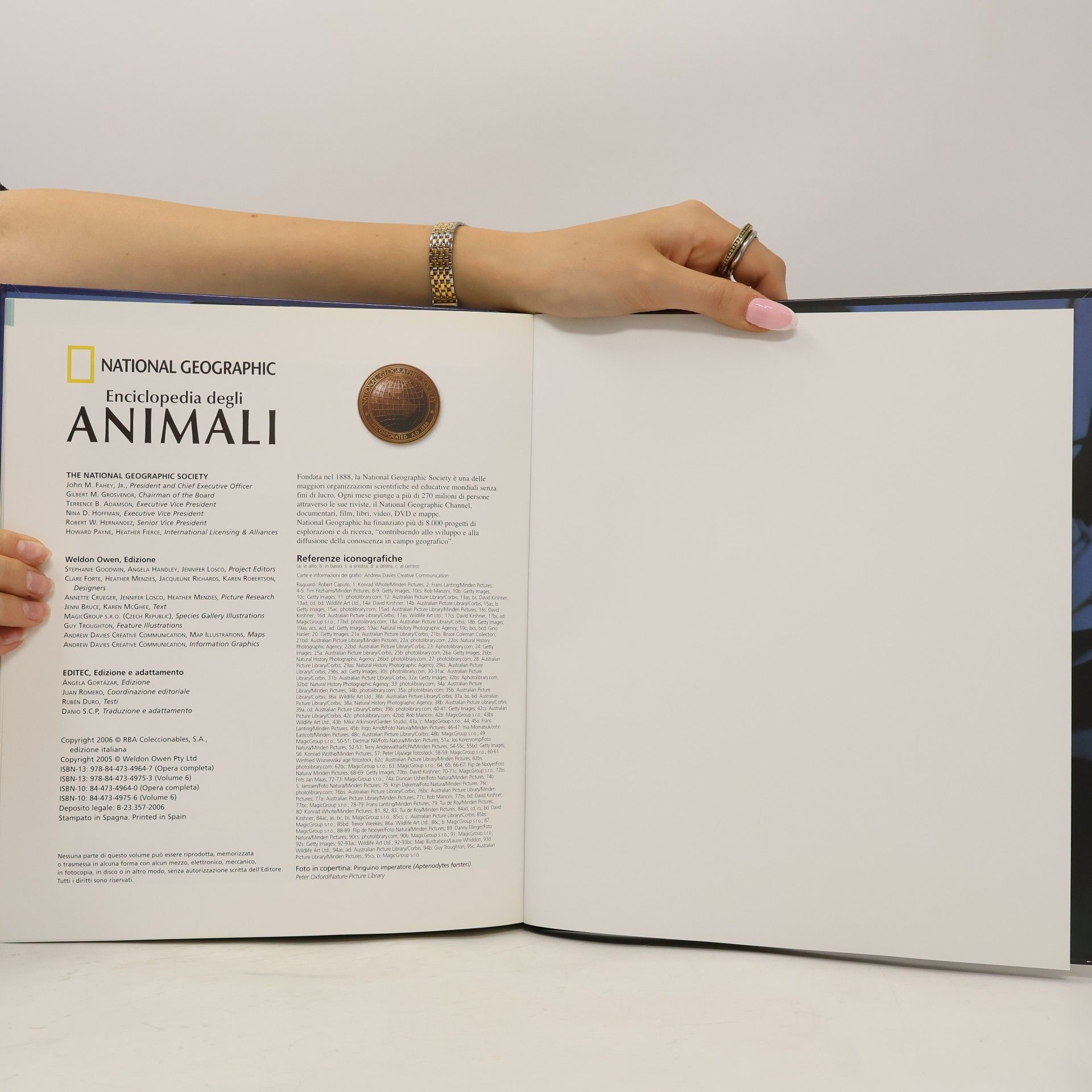 Autorenkollektiv Animali uccelli I.