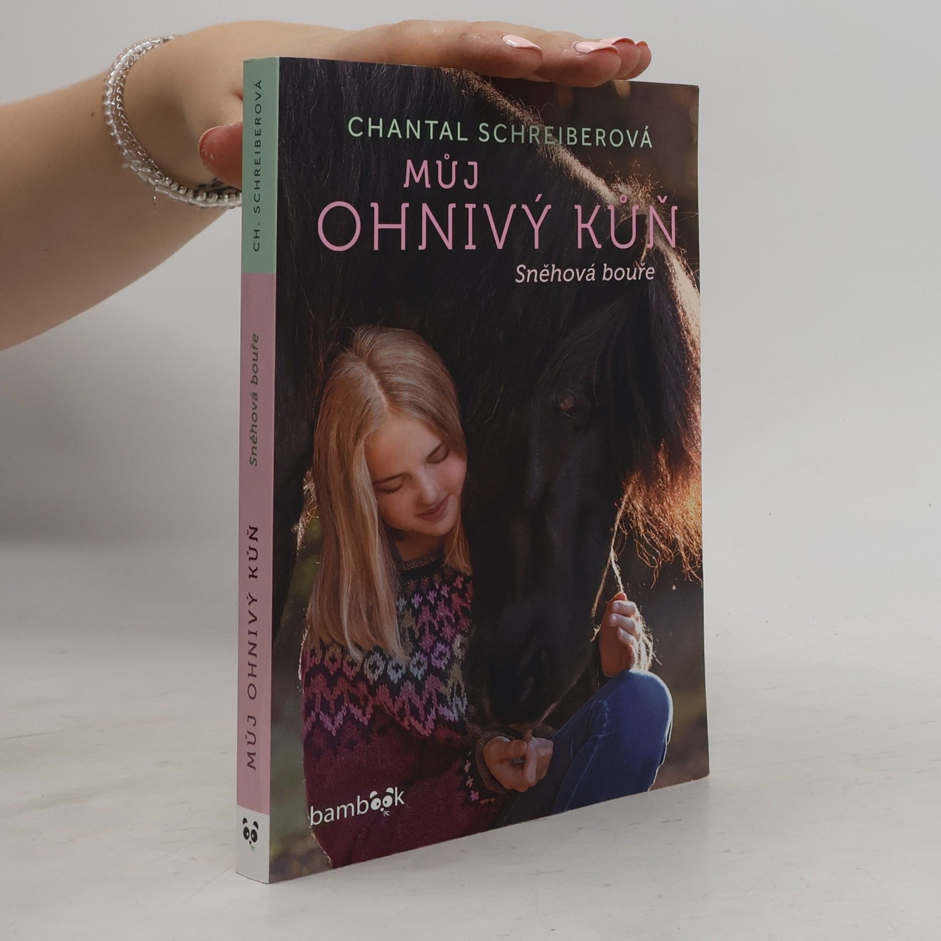 Chantal Schreiber Můj ohnivý kůň. Sněhová bouře
