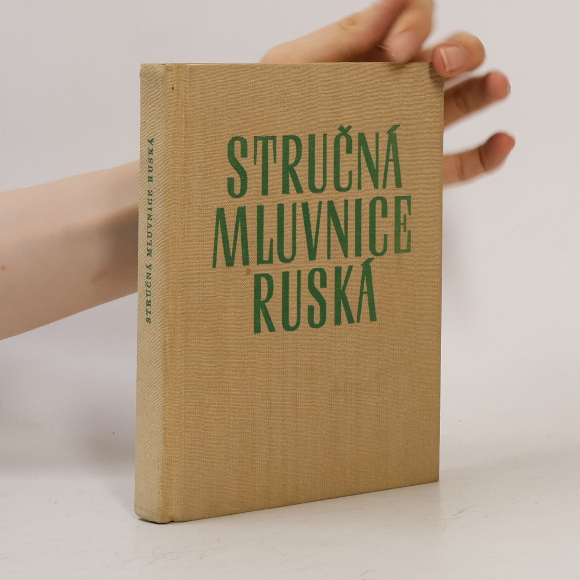 Collectif d'auteurs Stručná mluvnice ruská