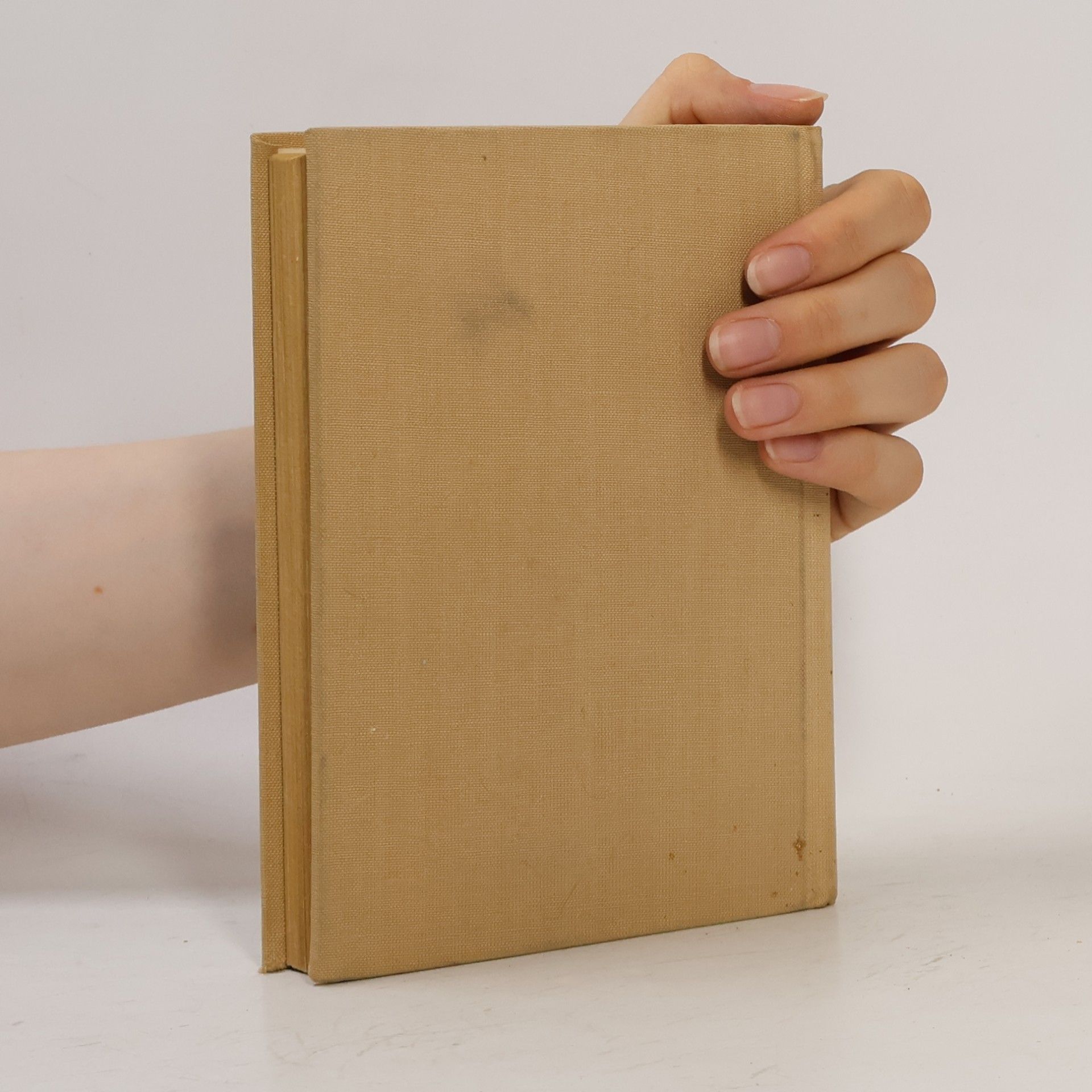 Collectif d'auteurs Stručná mluvnice ruská