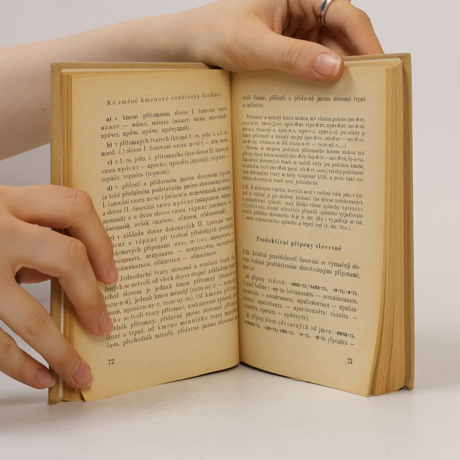 Collectif d'auteurs Stručná mluvnice ruská