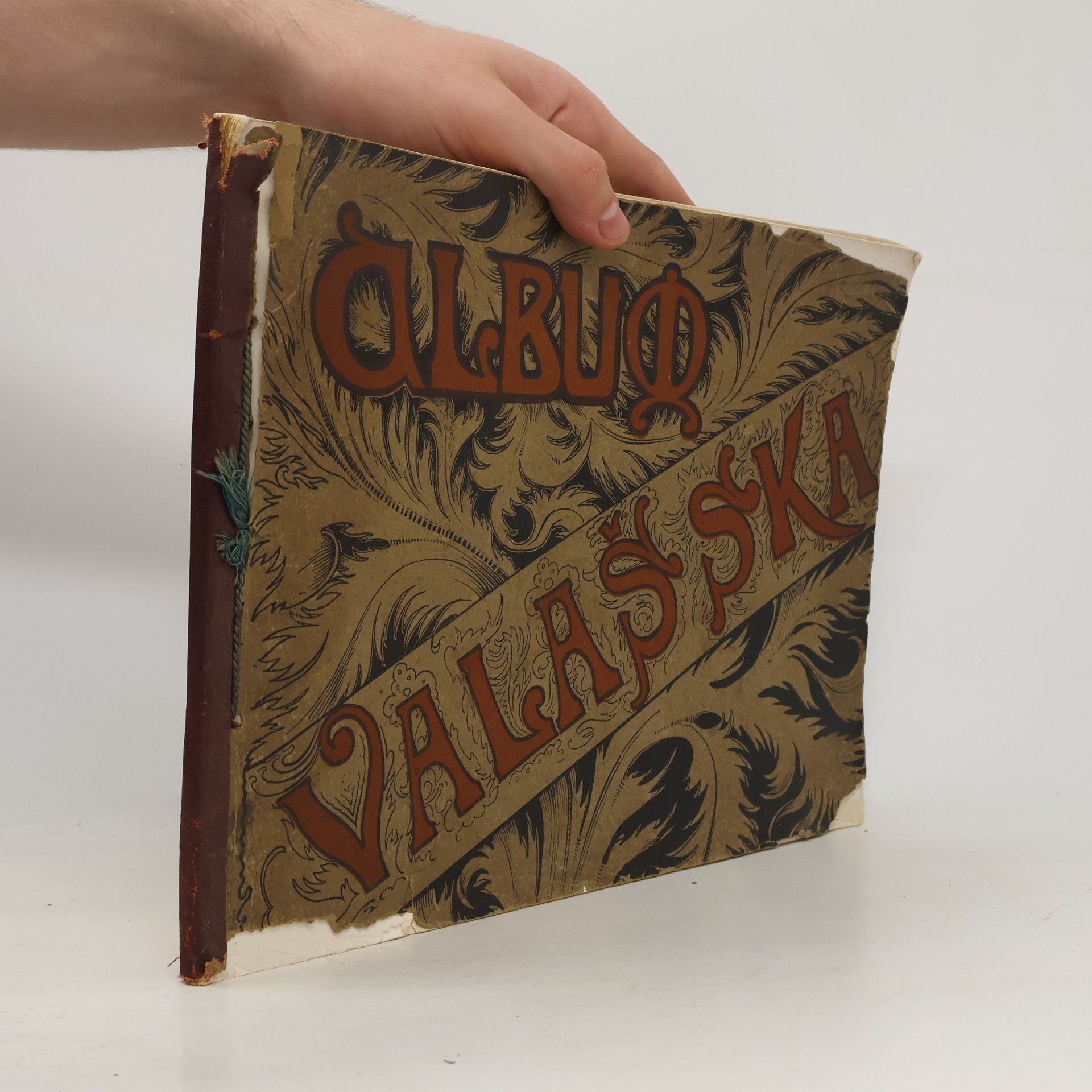 Kolektív autorov Album Valašska