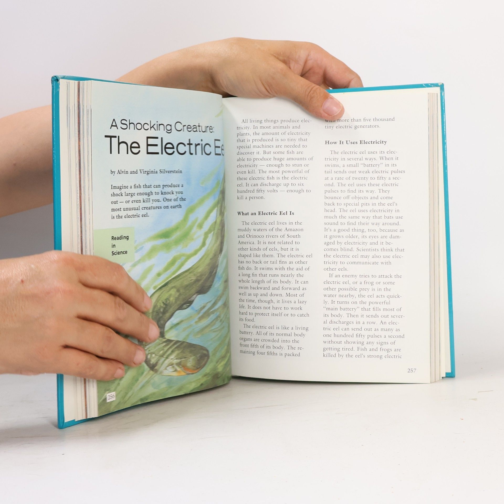 Autorenkollektiv Houghton Mifflin Reading: Explorations. L.