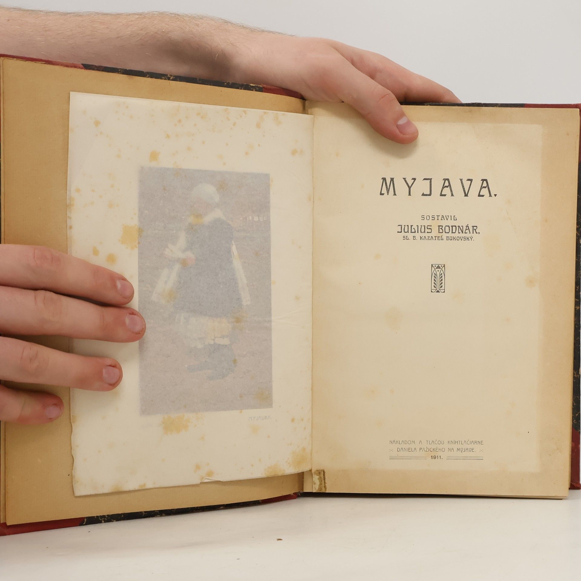 Julius Bodnar Myjava
