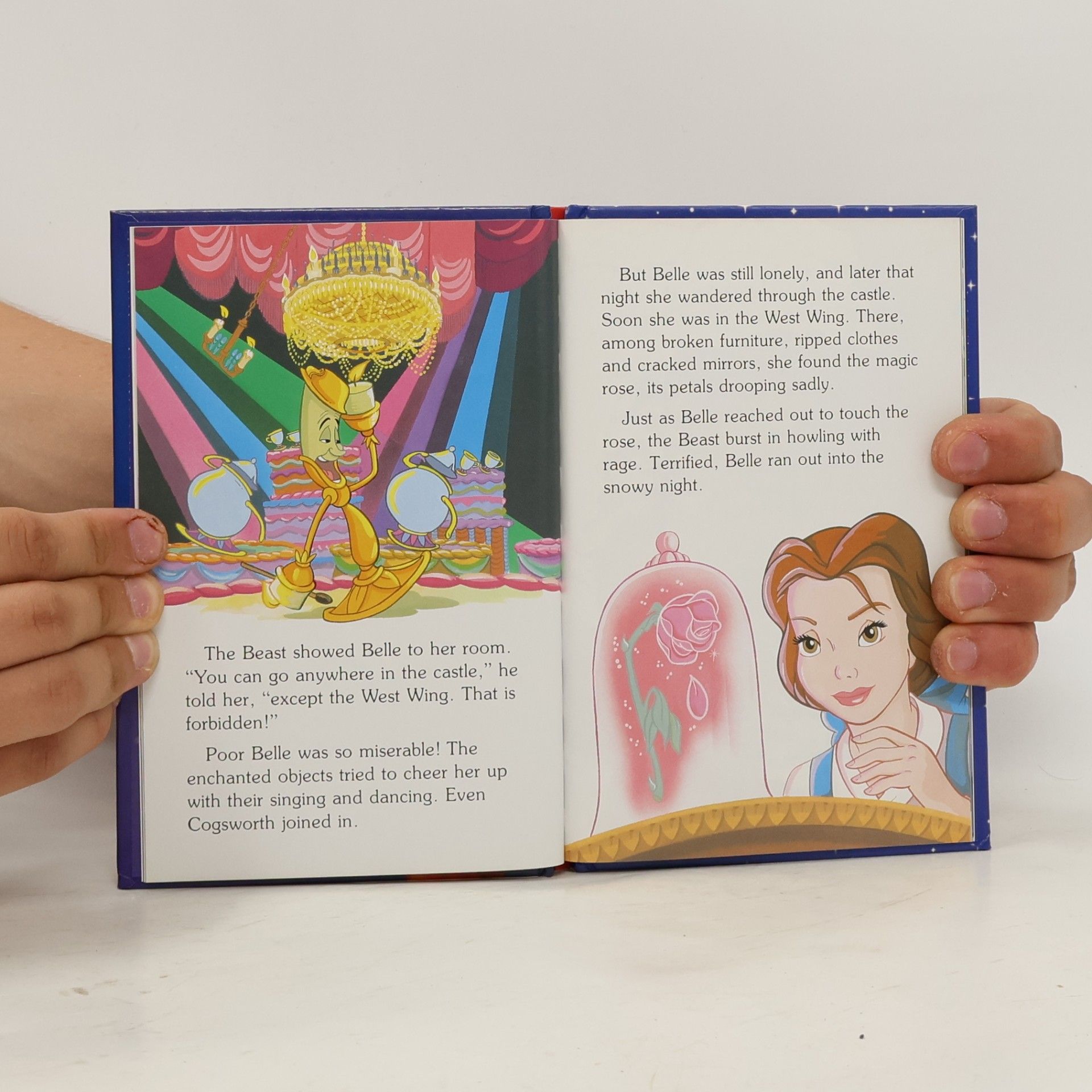 Walt Disney Company Beauty And The Beast