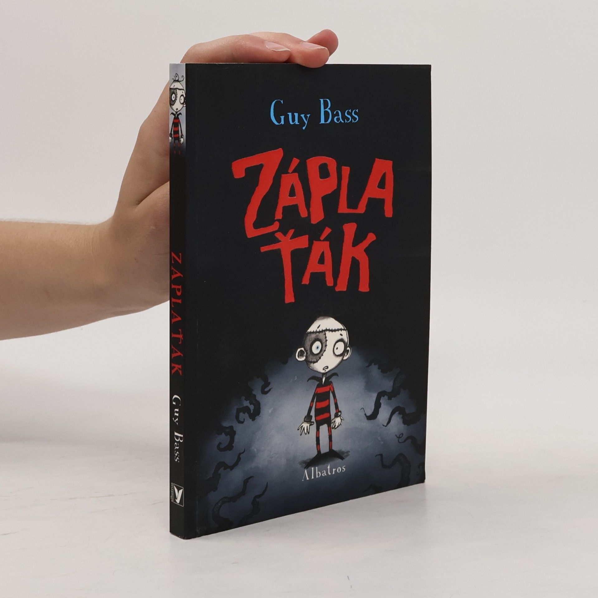 Guy Bass Záplaťák