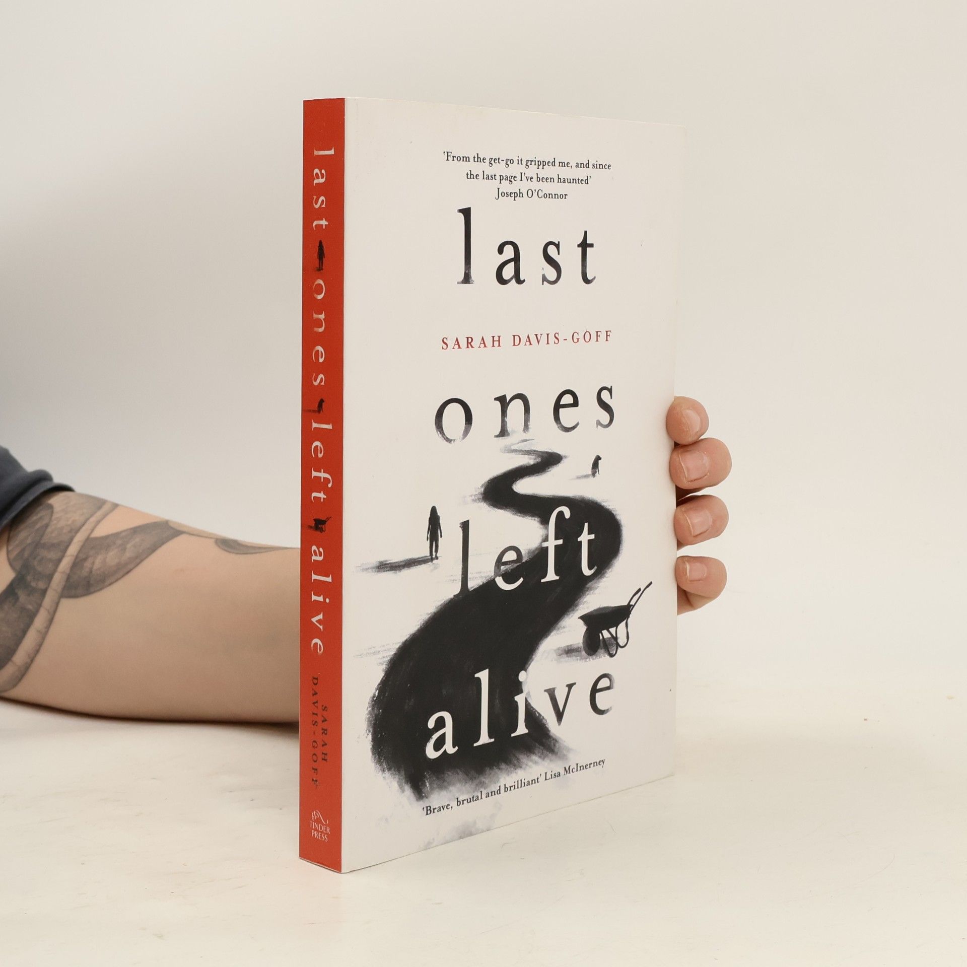 Sarah Davis-Goff Last Ones Left Alive