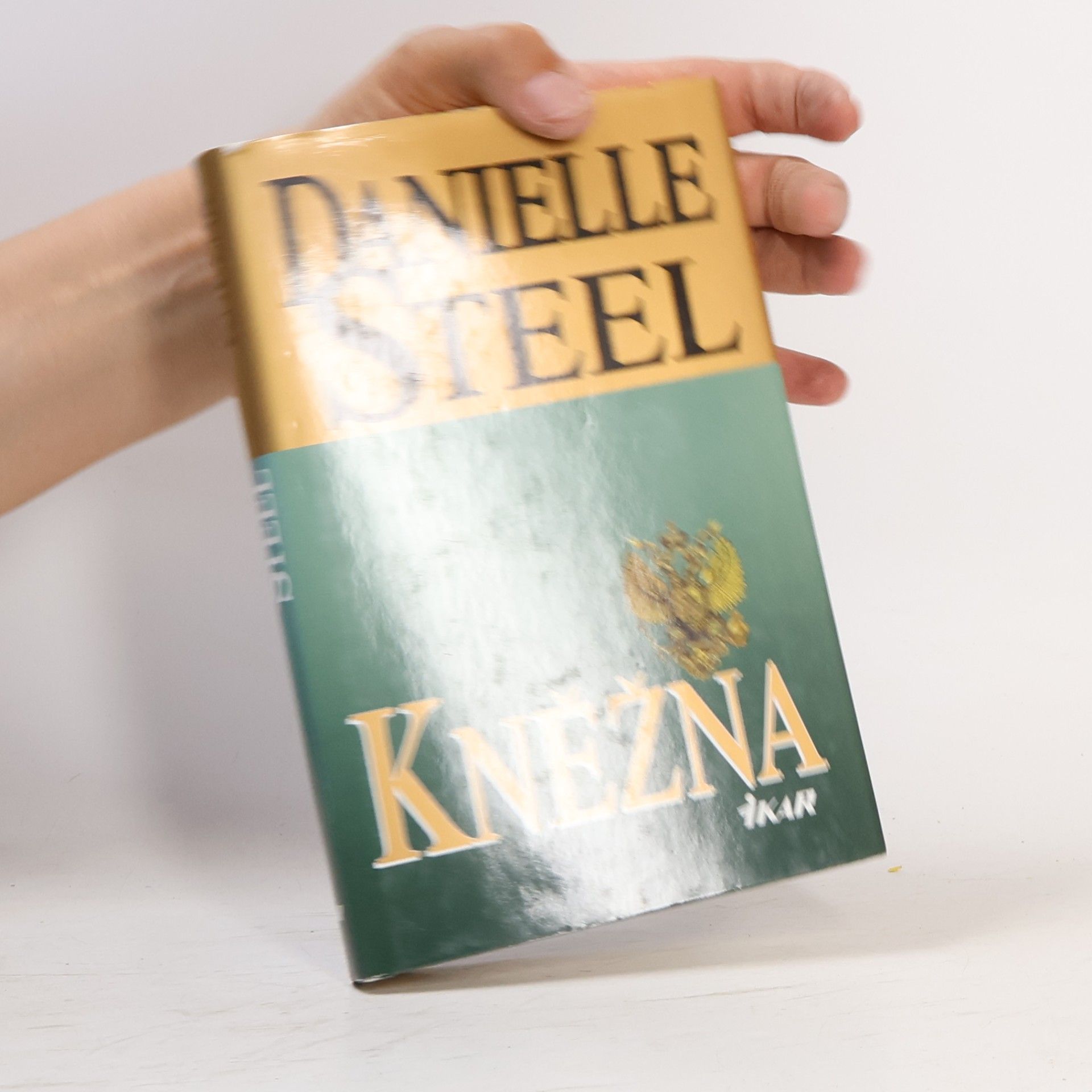 Danielle Steel Kněžna