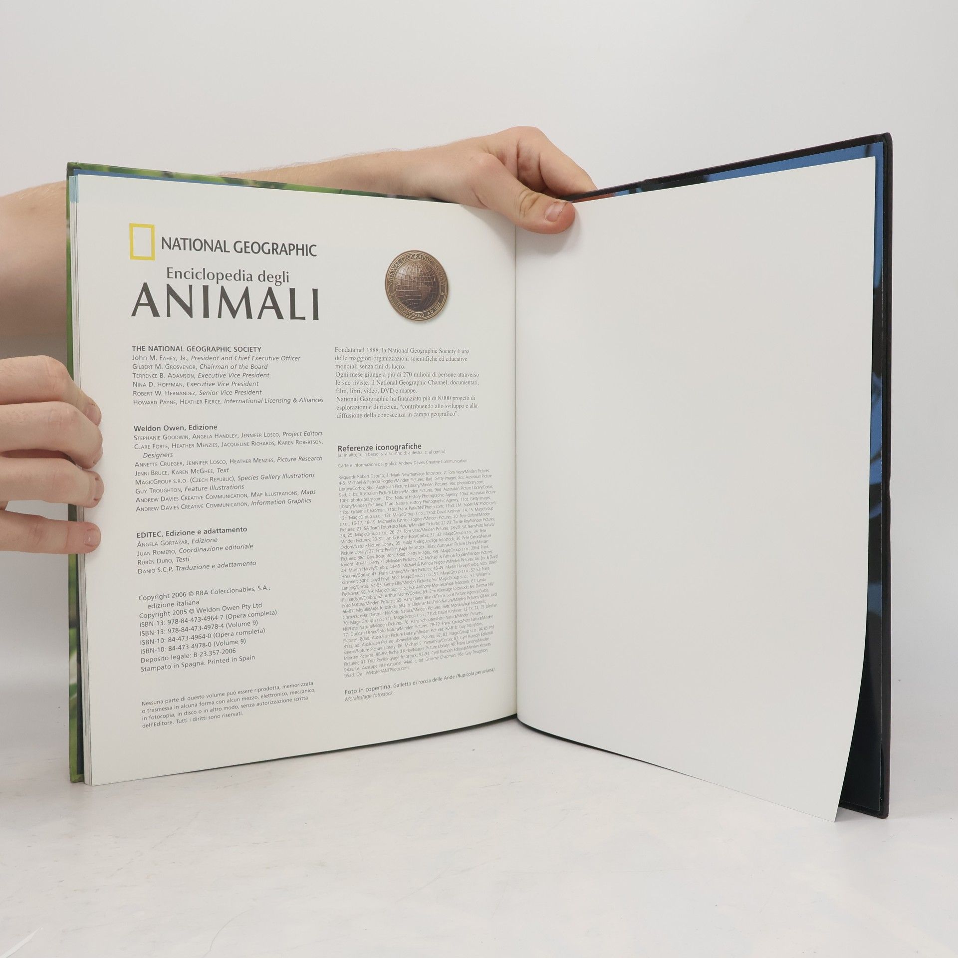Autorenkollektiv Animali uccelli IV.