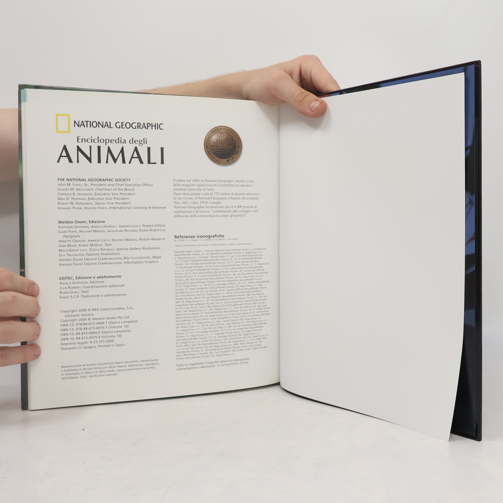 Autorenkollektiv Animali uccelli V.