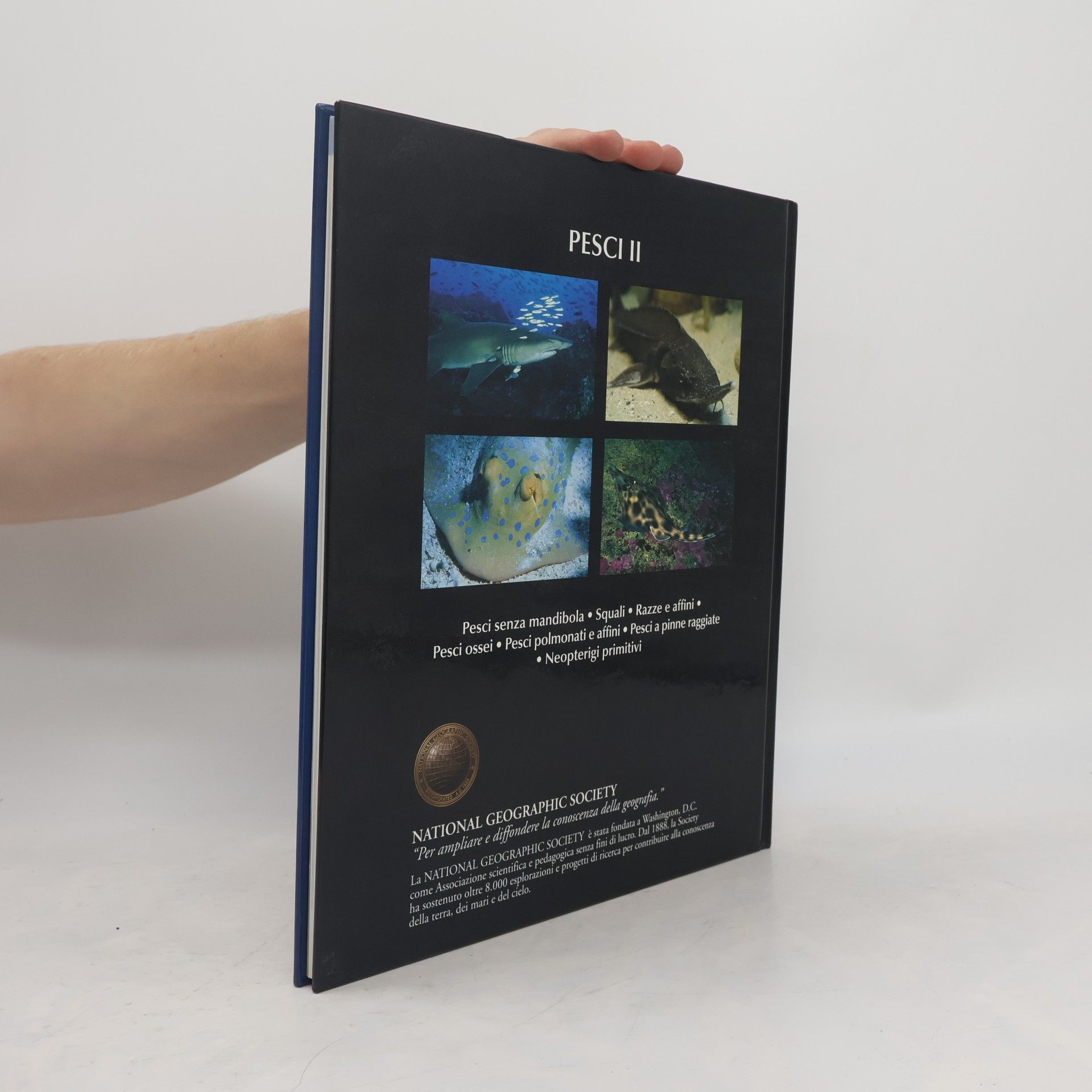 AA.VV. Enciclopedia degli animali - Pesci II