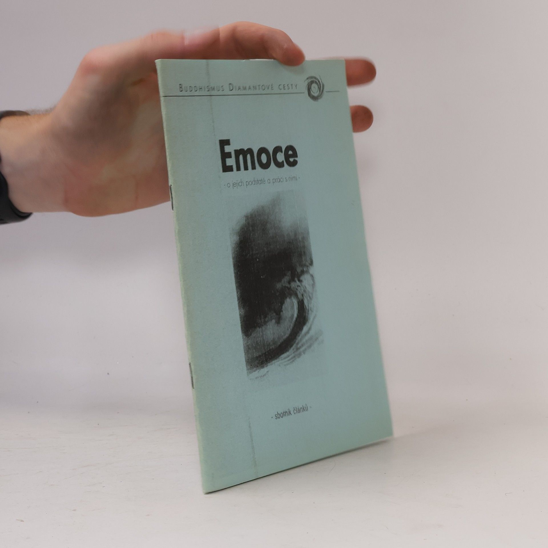 Kolektív autorov Emoce - o jejich podstatě a práci s nimi