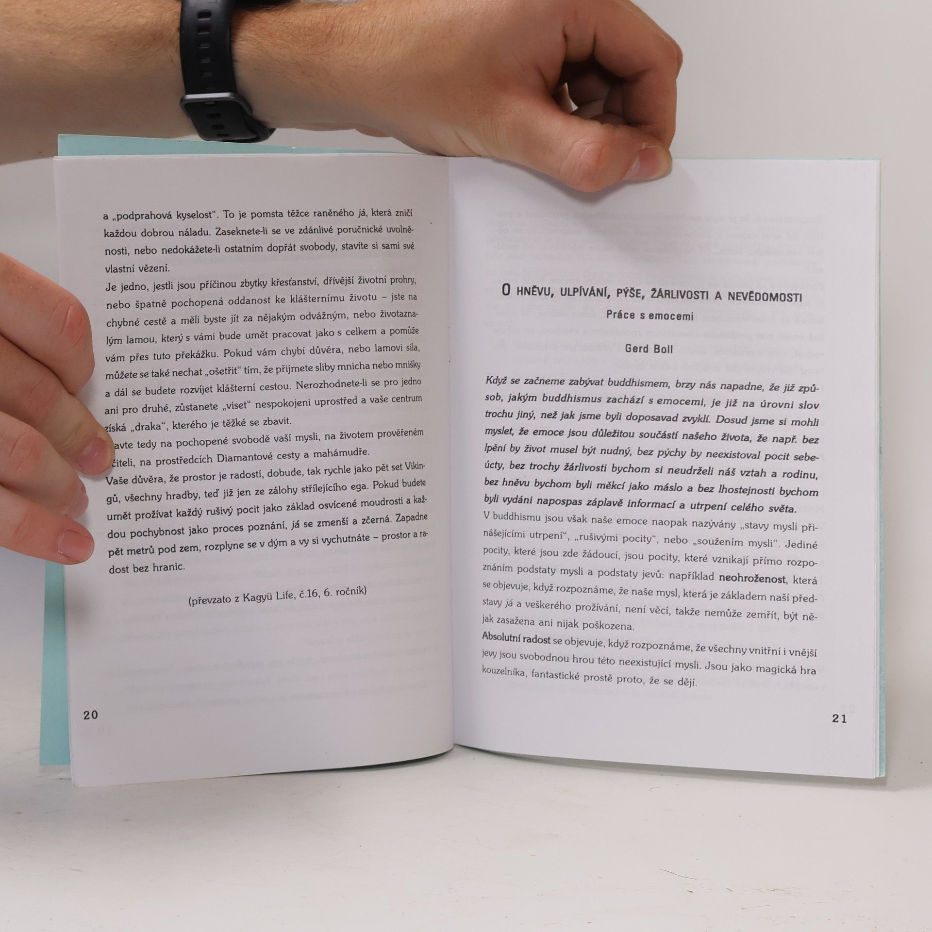 Various authors Emoce - o jejich podstatě a práci s nimi