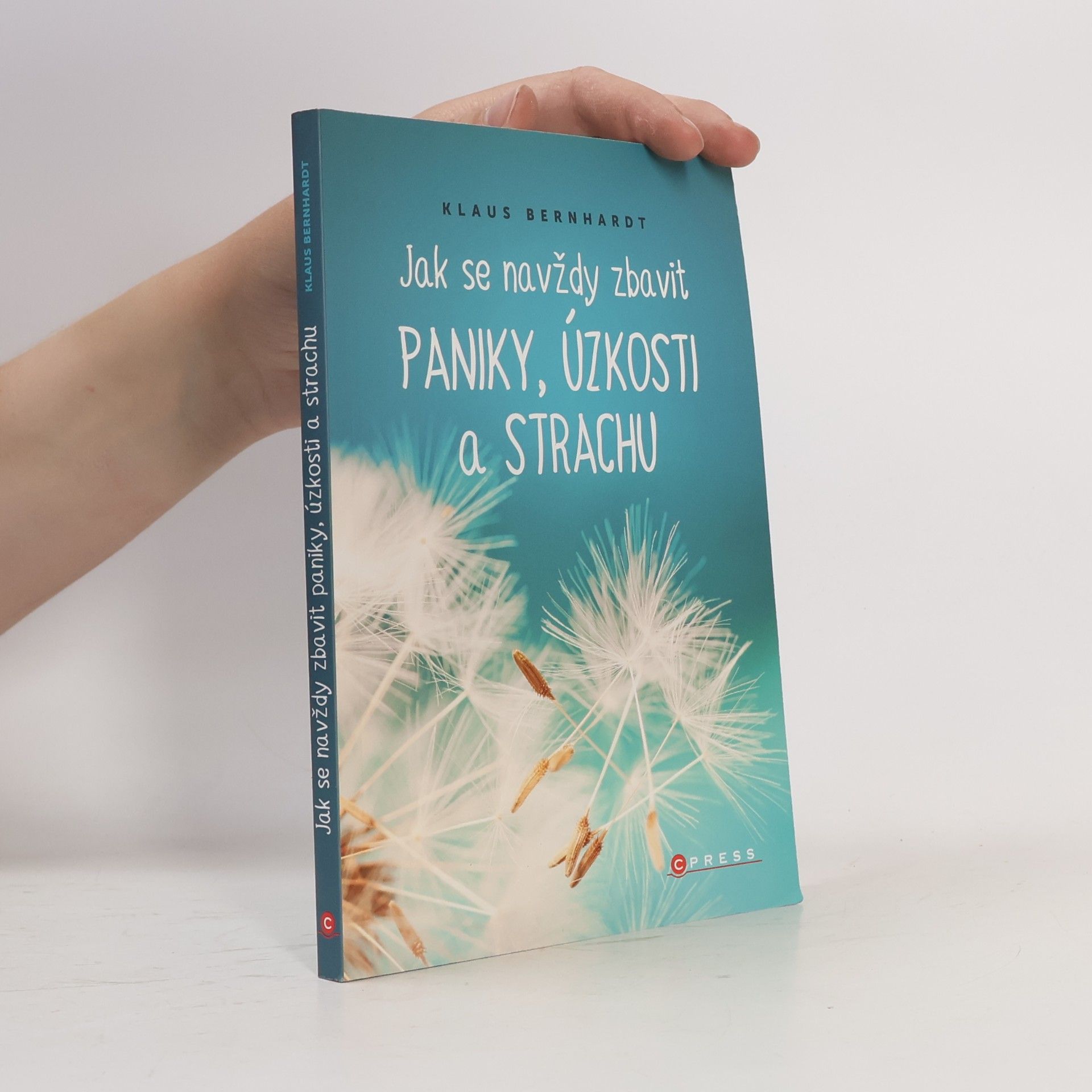 Klaus Bernhardt Jak se navždy zbavit paniky, úzkosti a strachu