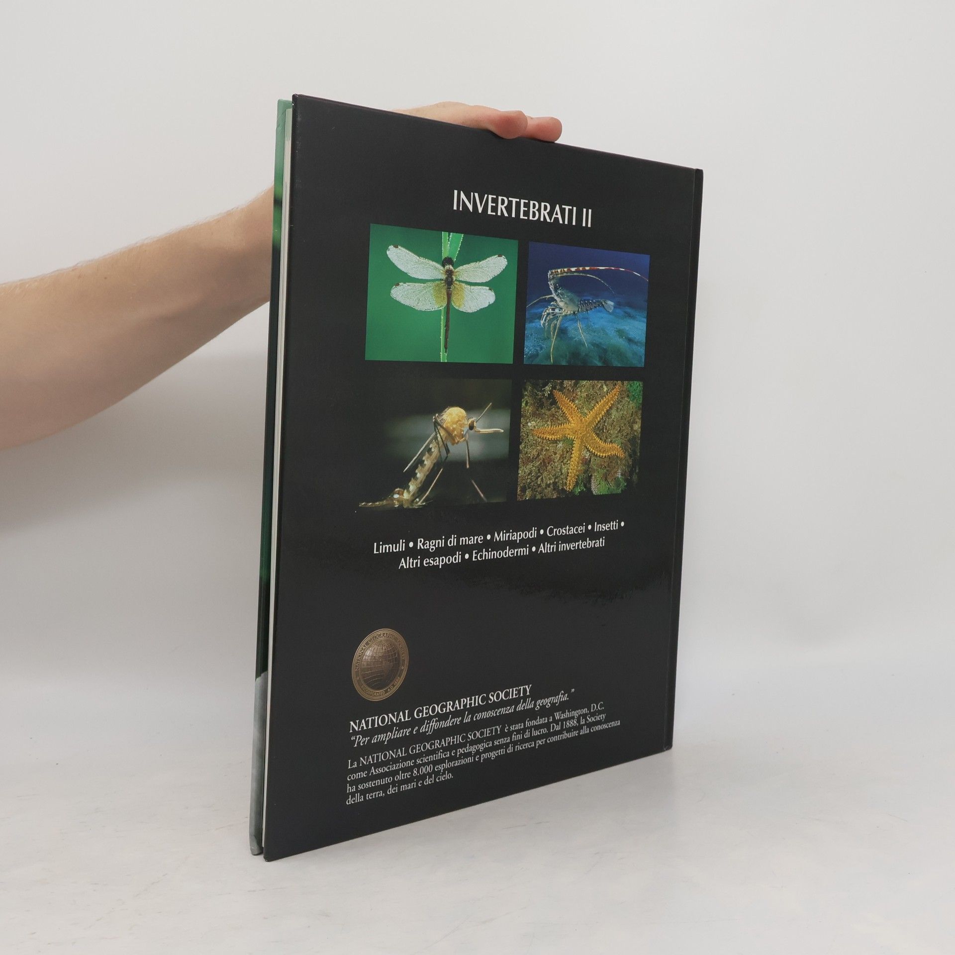 Various authors Enciclopedia degli animali 20: Invertebrati II