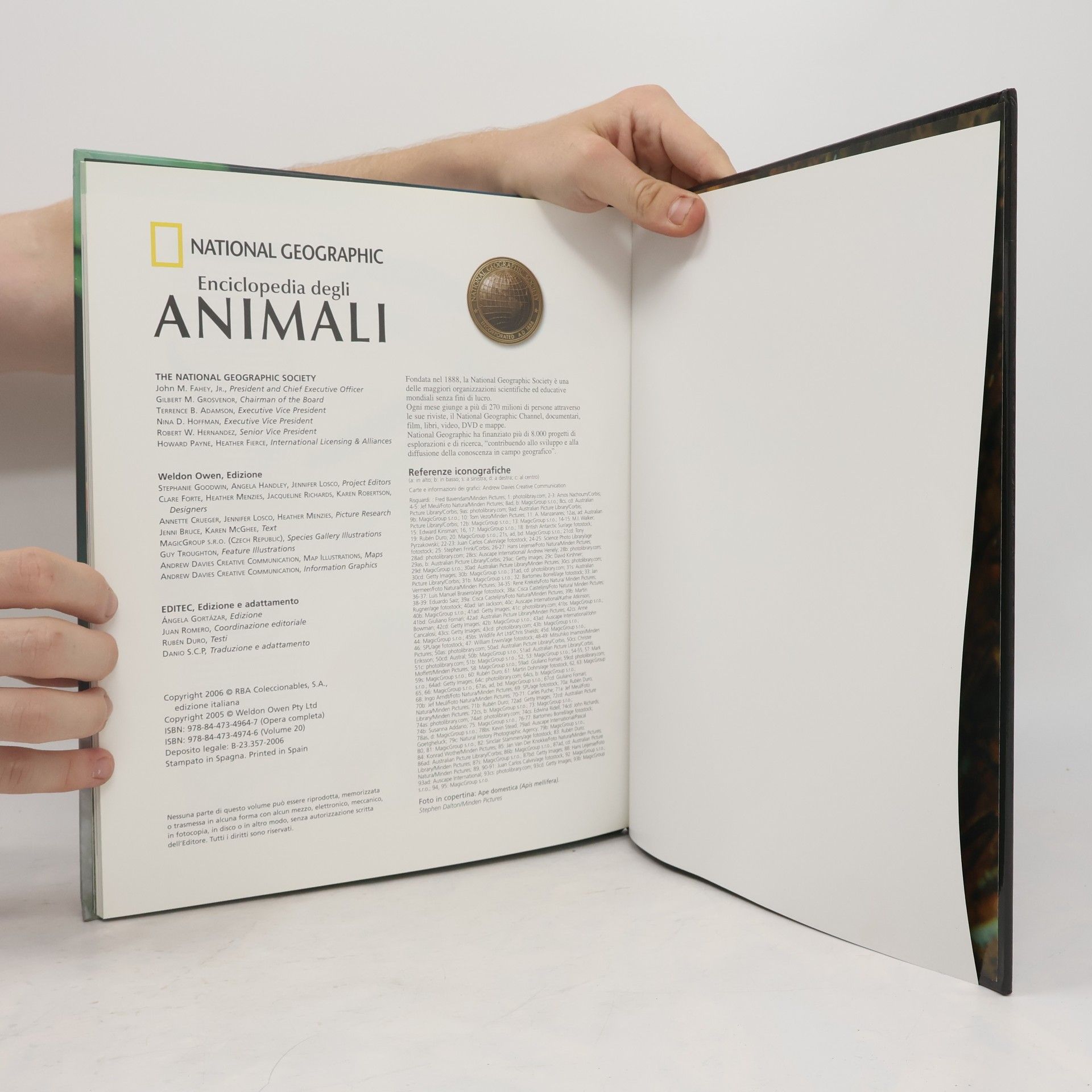Various authors Enciclopedia degli animali 20: Invertebrati II