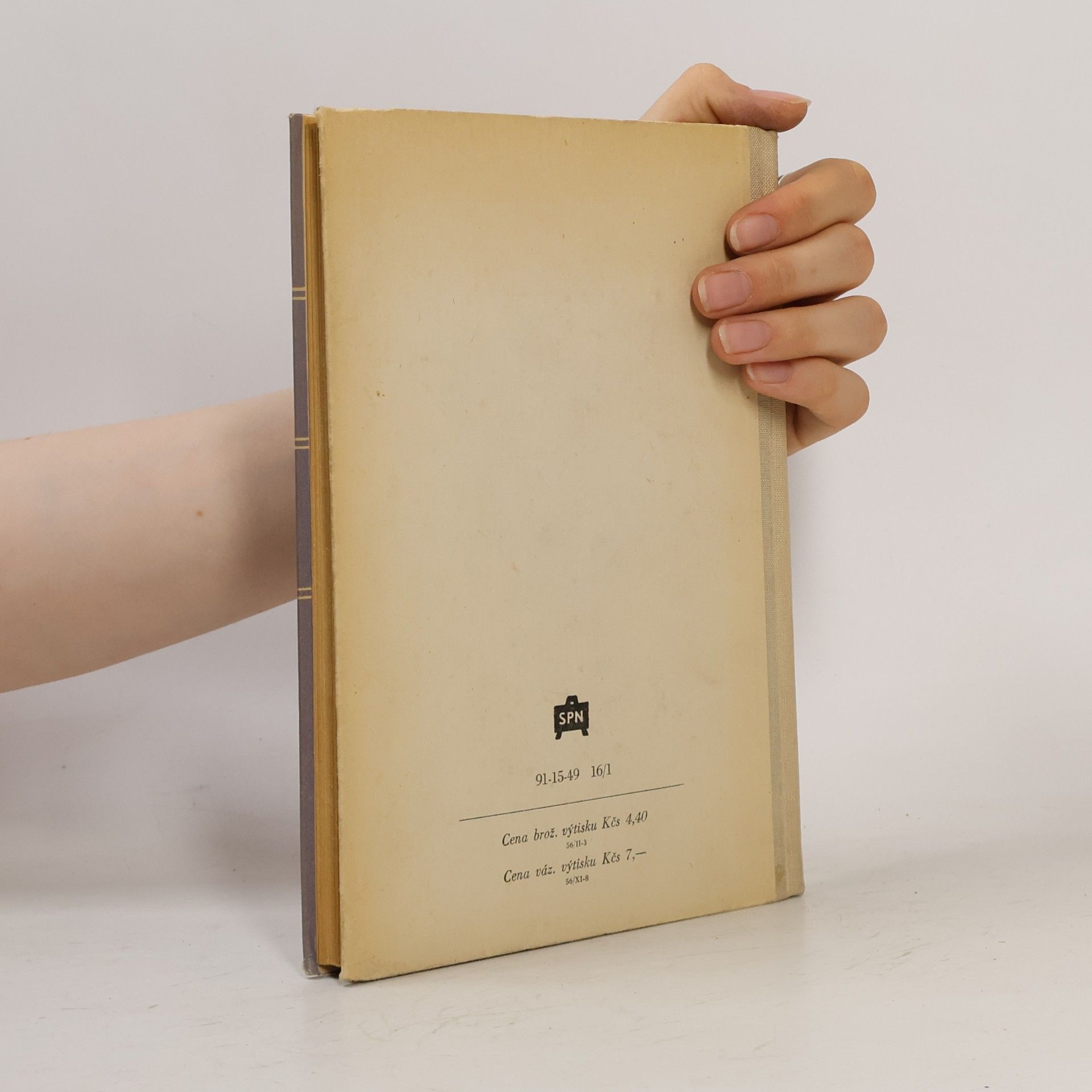 Svatopluk Cenek Teorie literatury